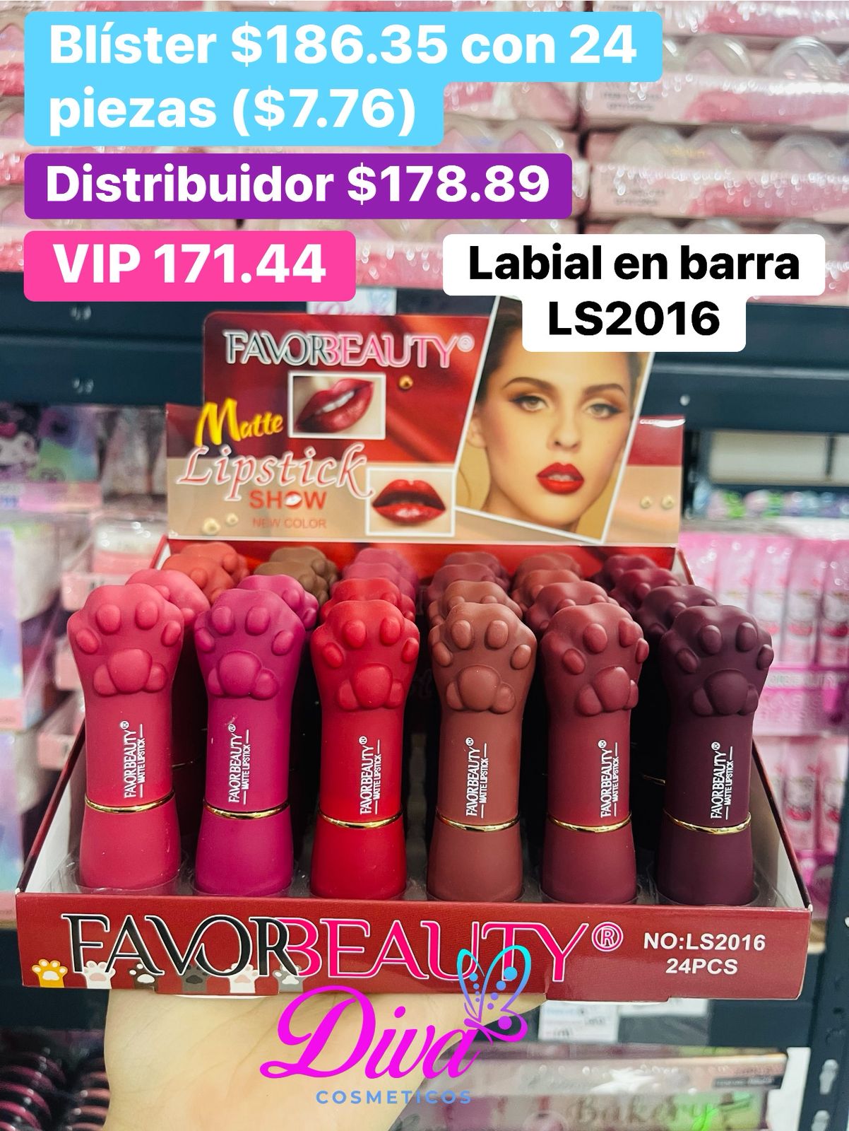 LABIAL LS2016 B/24