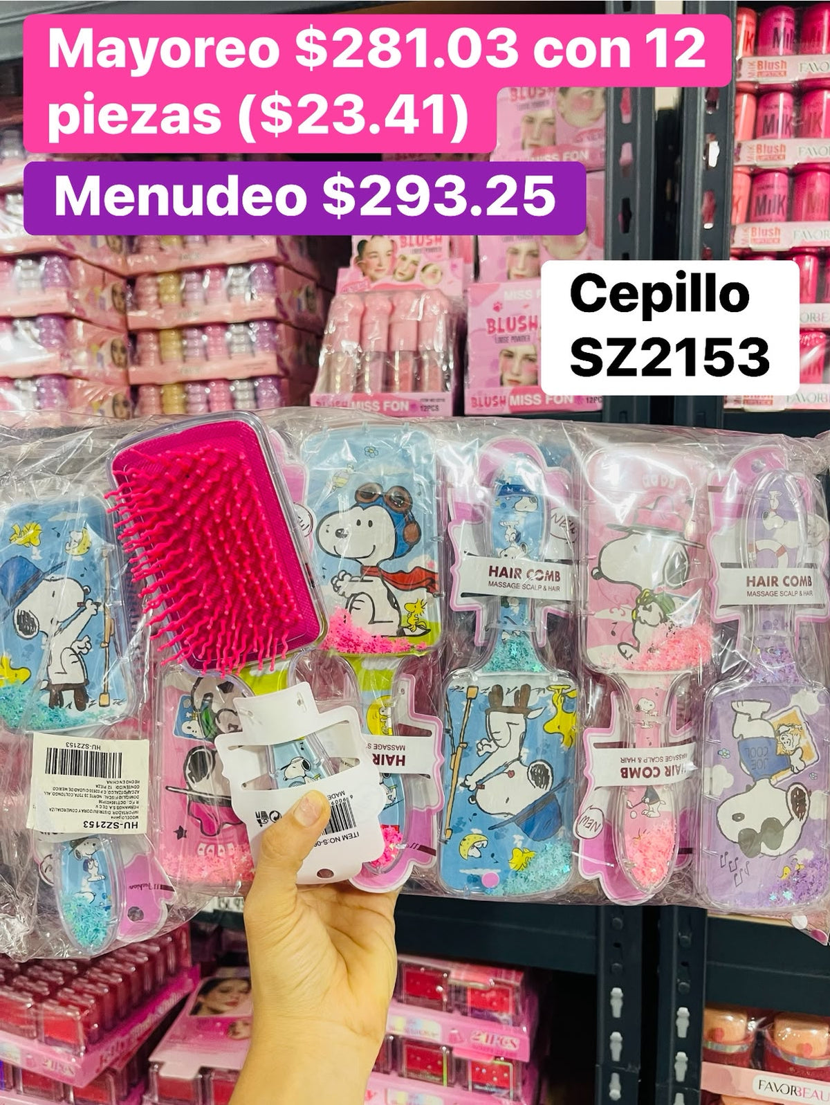 CEPILLO SZ2153 B/12