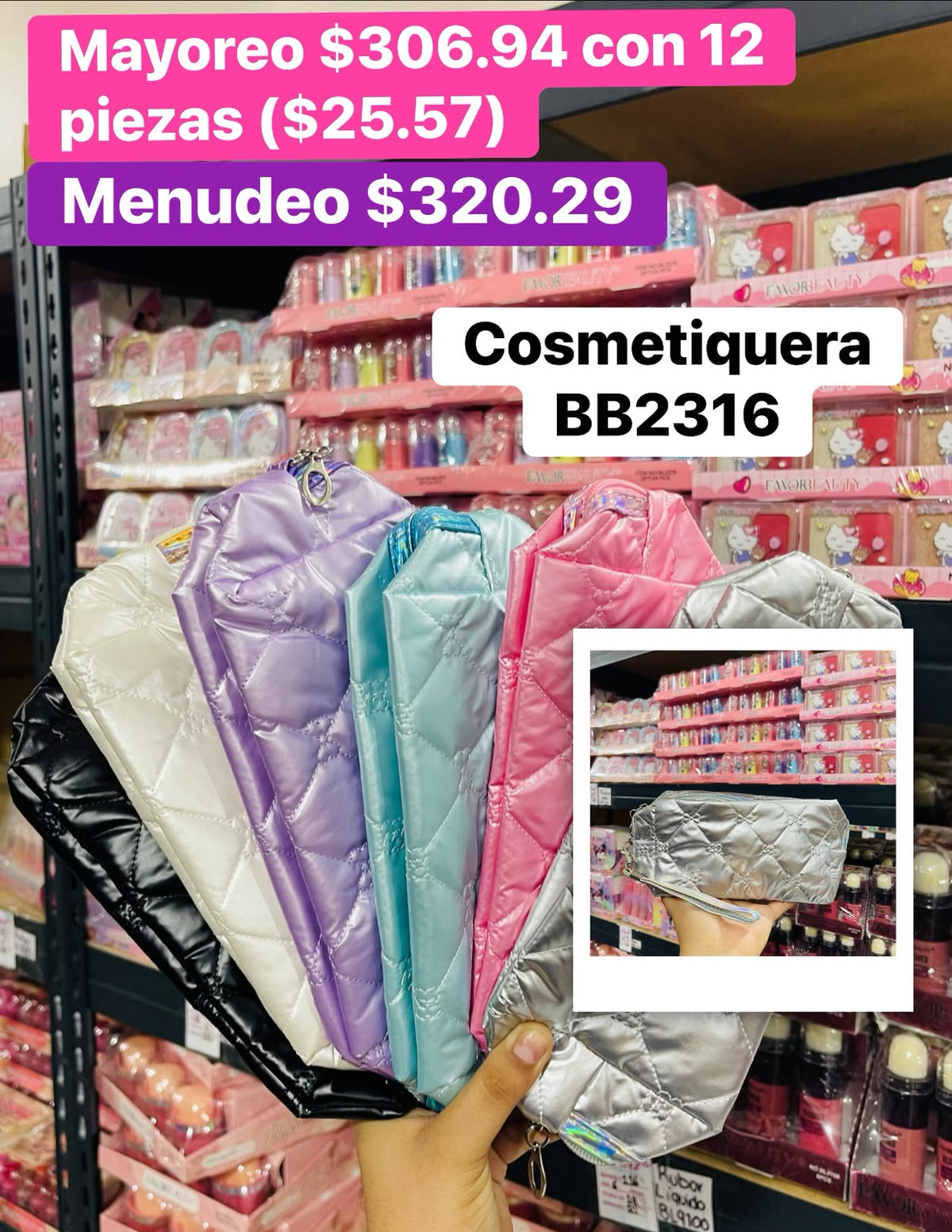 COSMETIQUERA BB2316 B/12