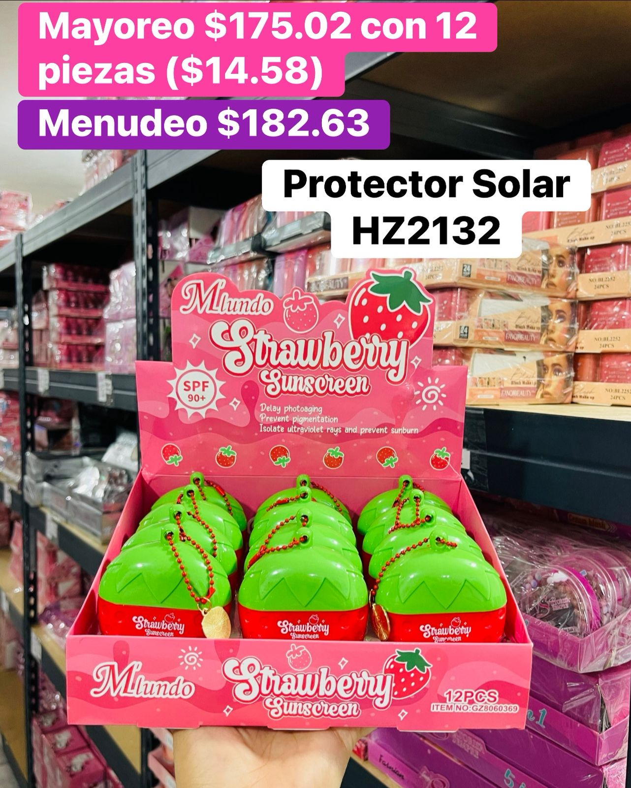 PROTECTOR SOLAR HZ2132 B/12