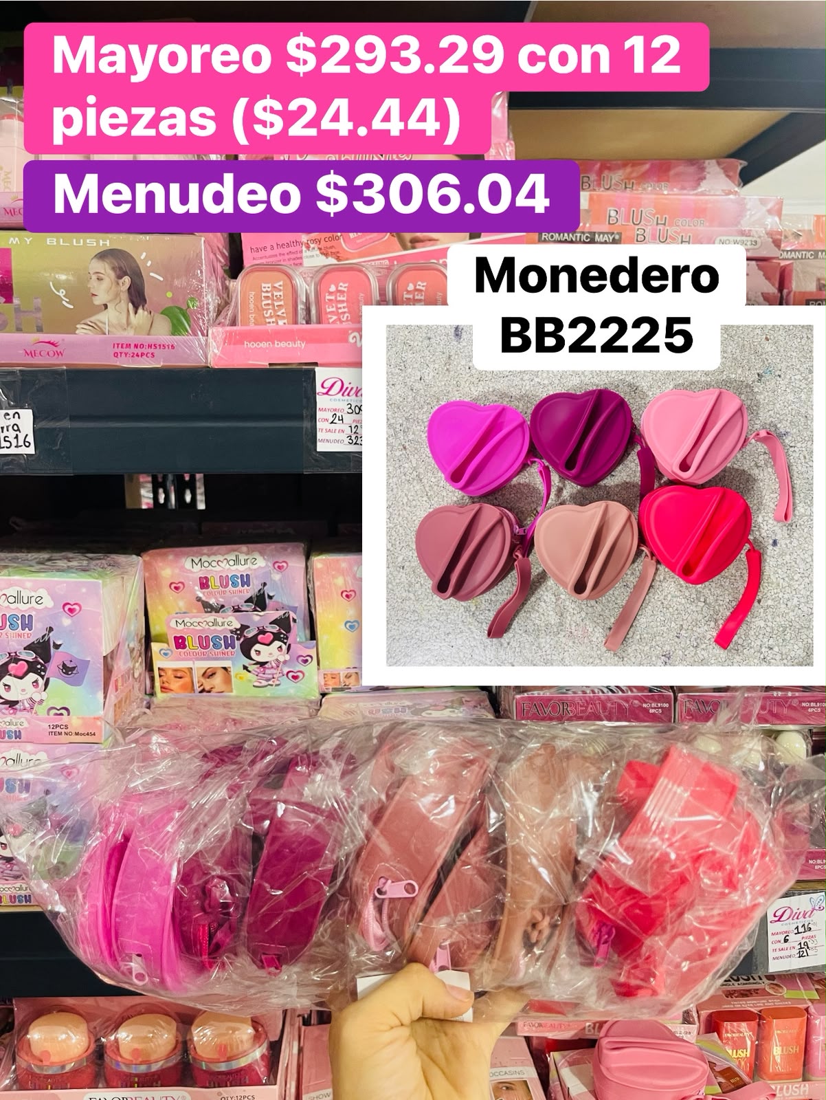MONEDERO BB2225 B/12