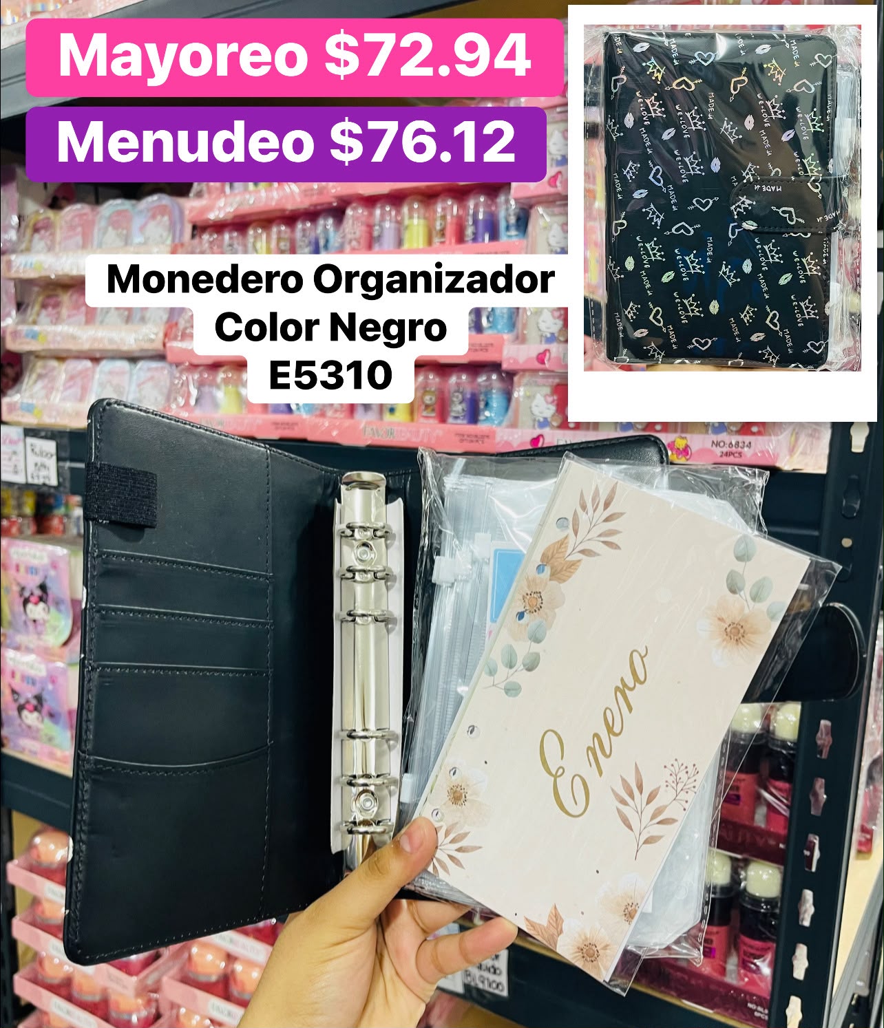 MONEDERO E5310