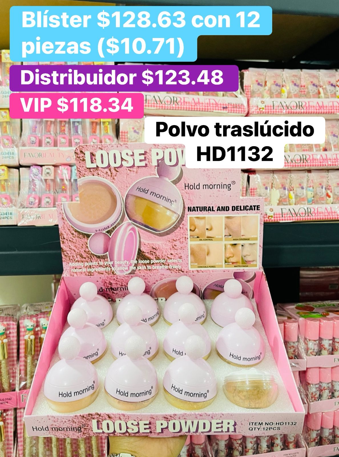 POLVO TRASLUCIDO HD1132 B/12