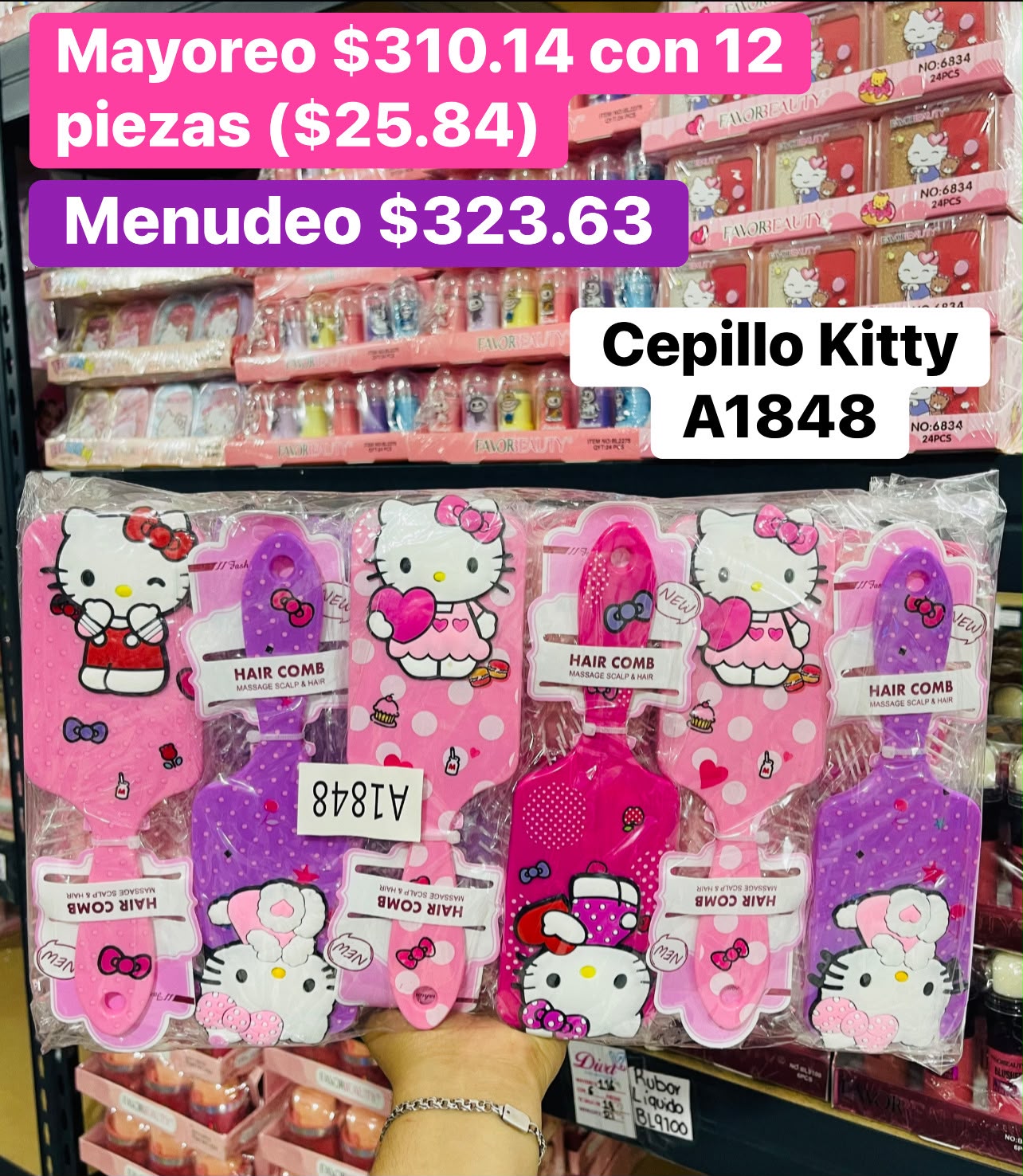 CEPILLO A1848 B/12