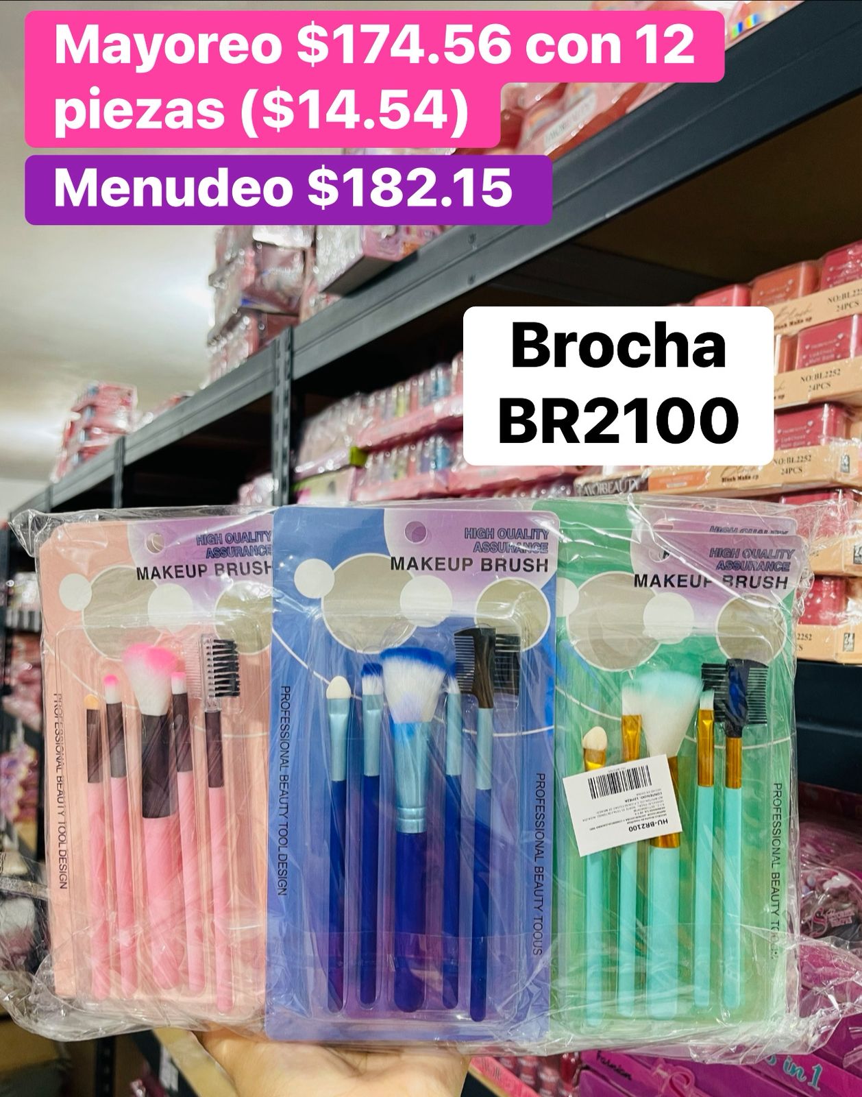BROCHA BR2100 B/12
