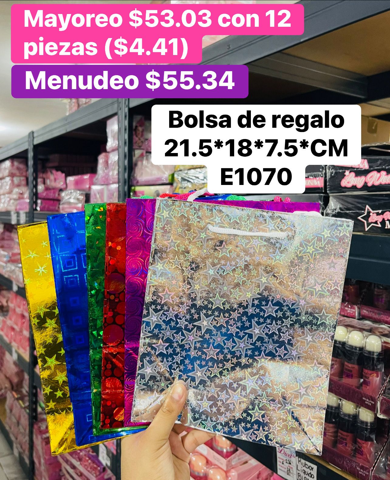 BOLSA DE REGALO E1070 B/12