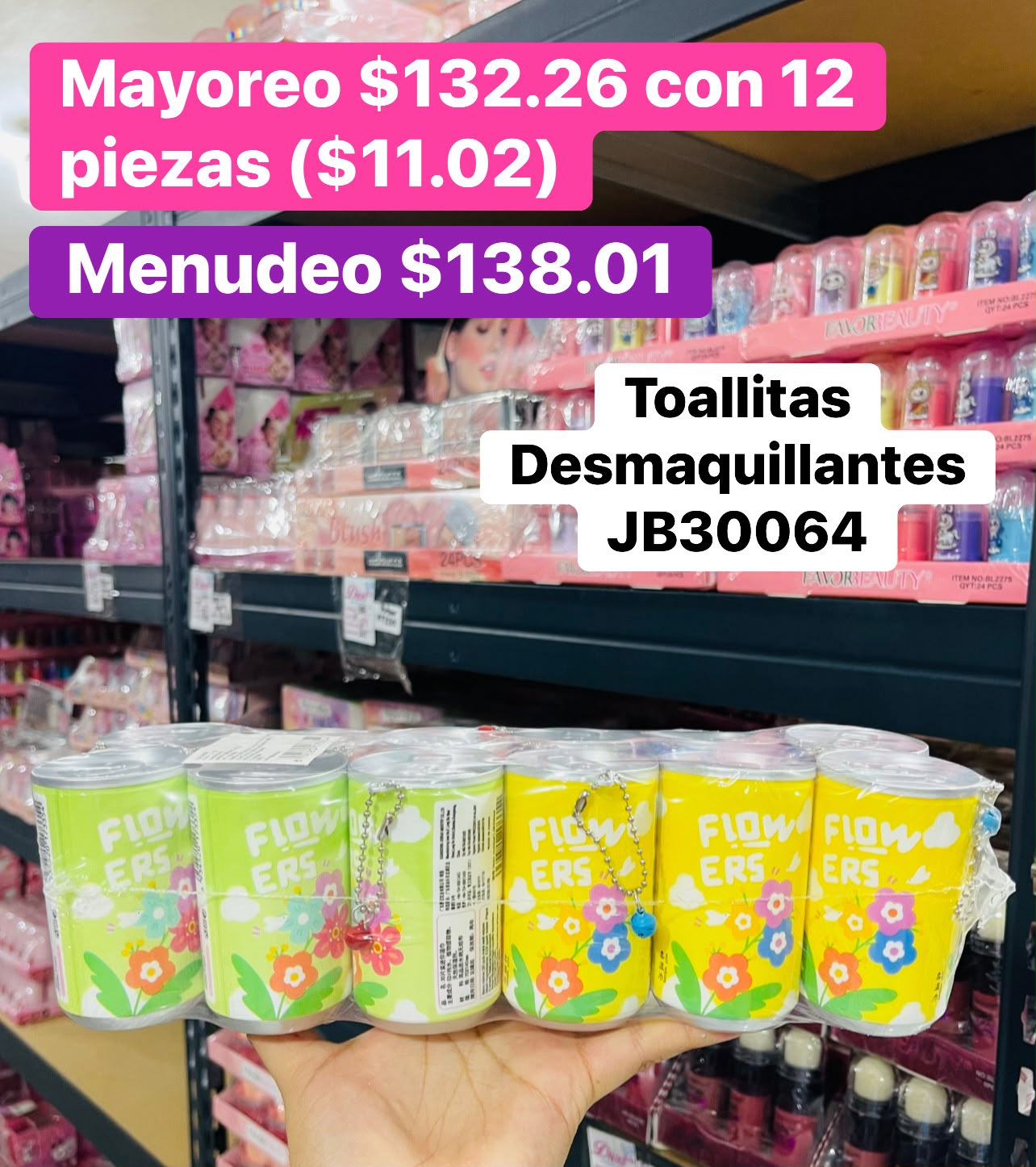 TOALLITAS JB30064 B/12