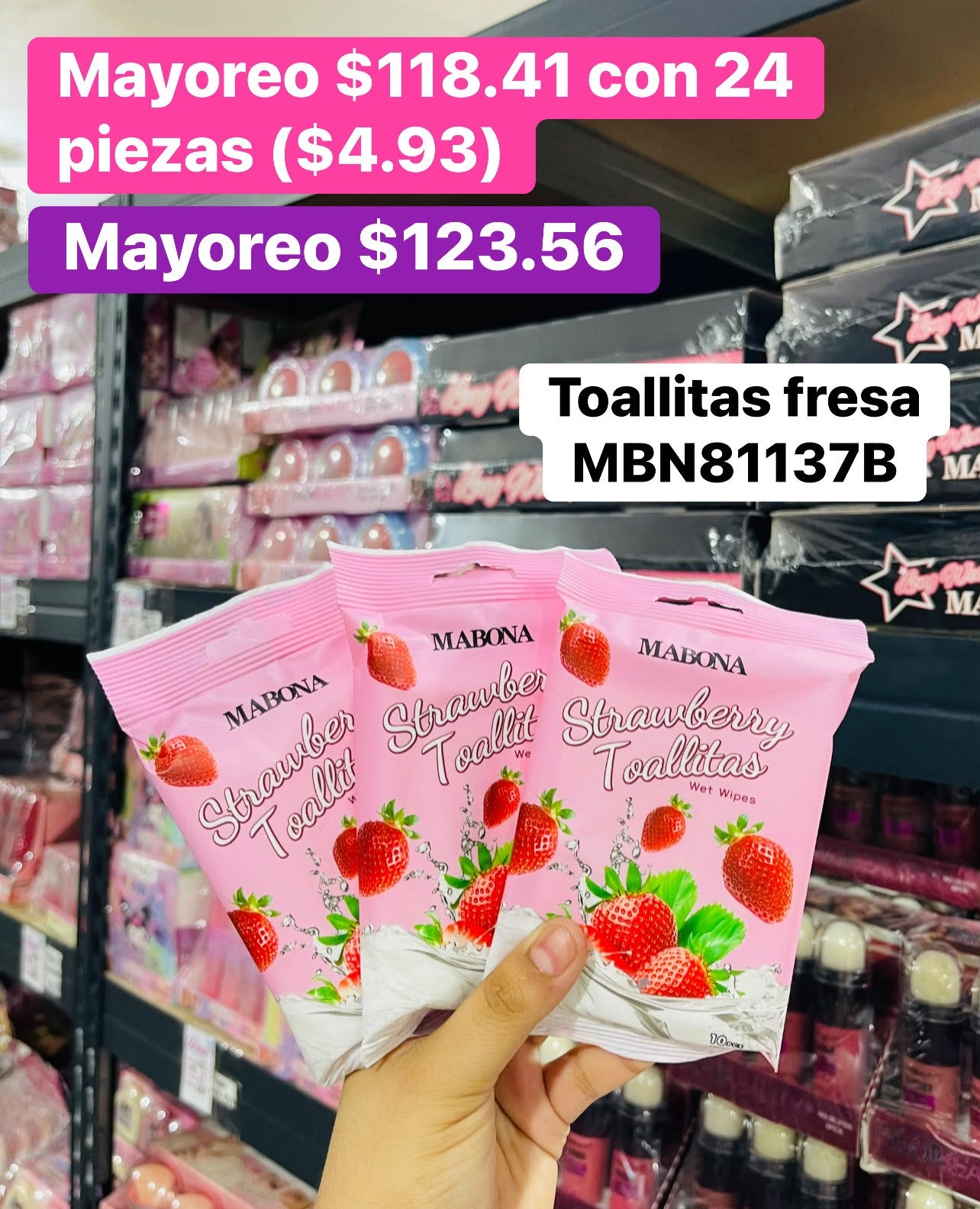 TOALLITAS DESMAQUILLANTES MBN81137B B/24