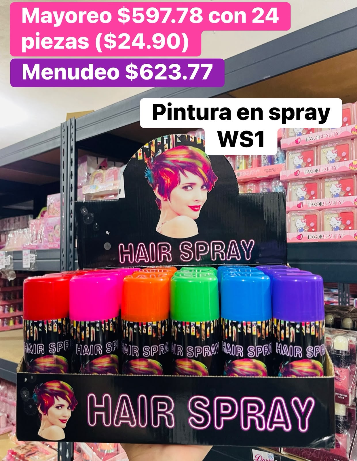 PINTURA SPRAY WS1 B/24