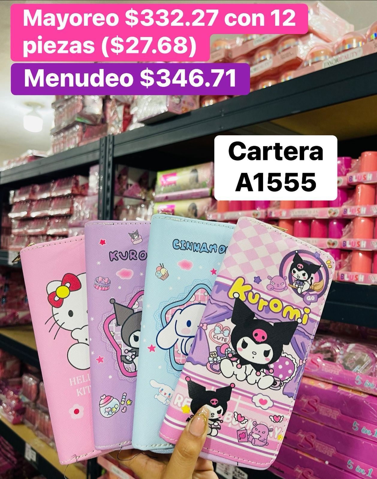 CARTERA A1555 B/12