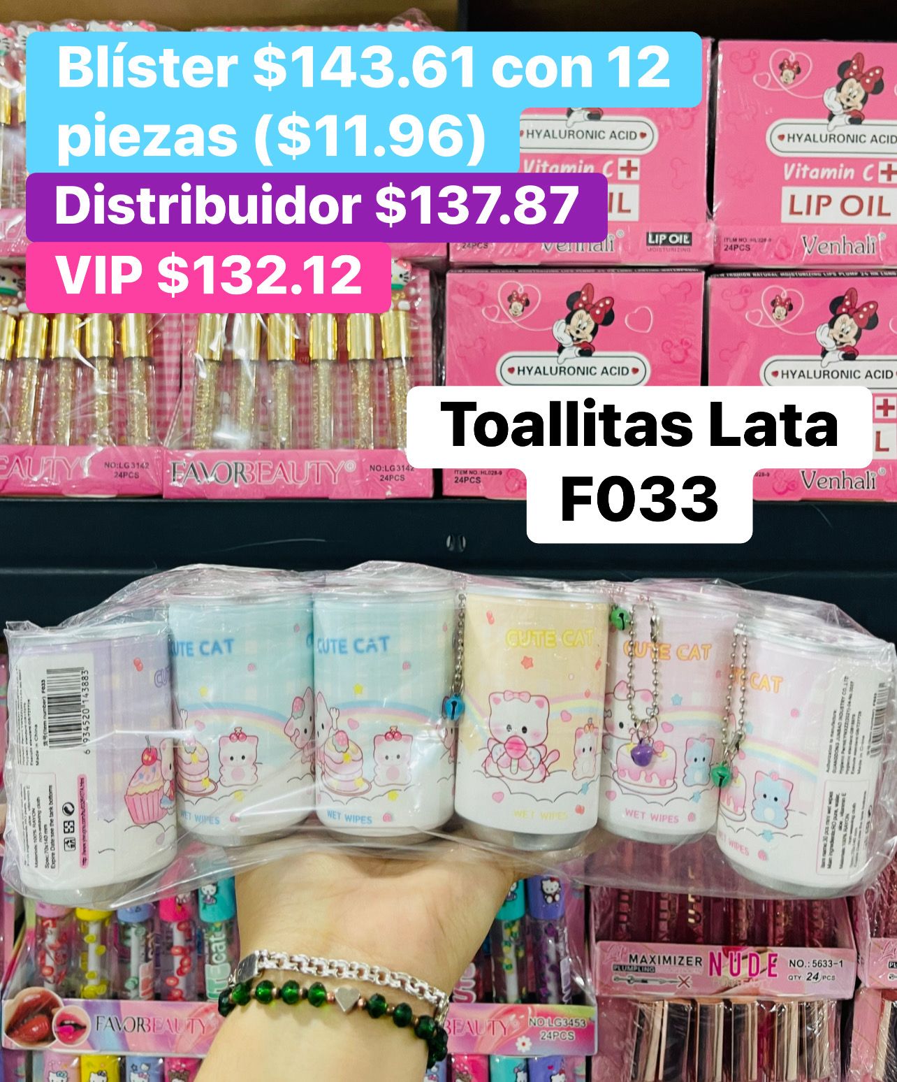TOALLITAS DESMAUILLANTES F033 B/12