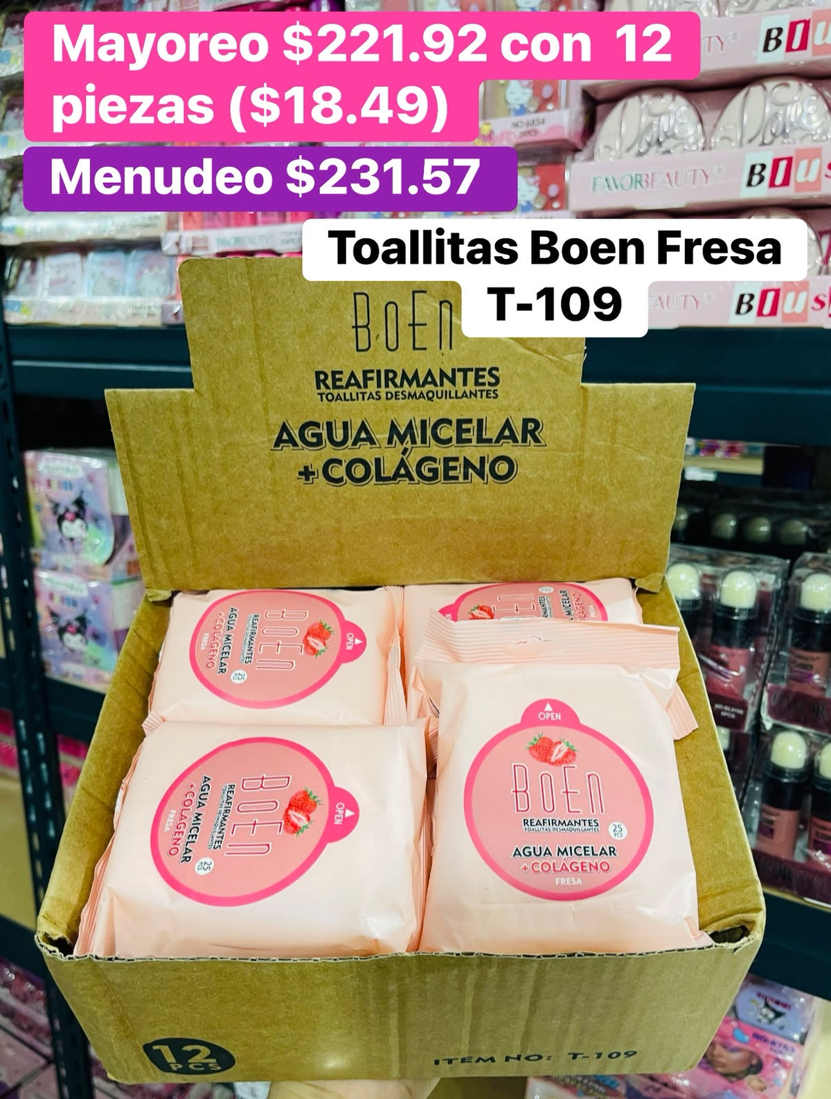 TOALLITAS DESMAQUILLANTES T-109 B/12