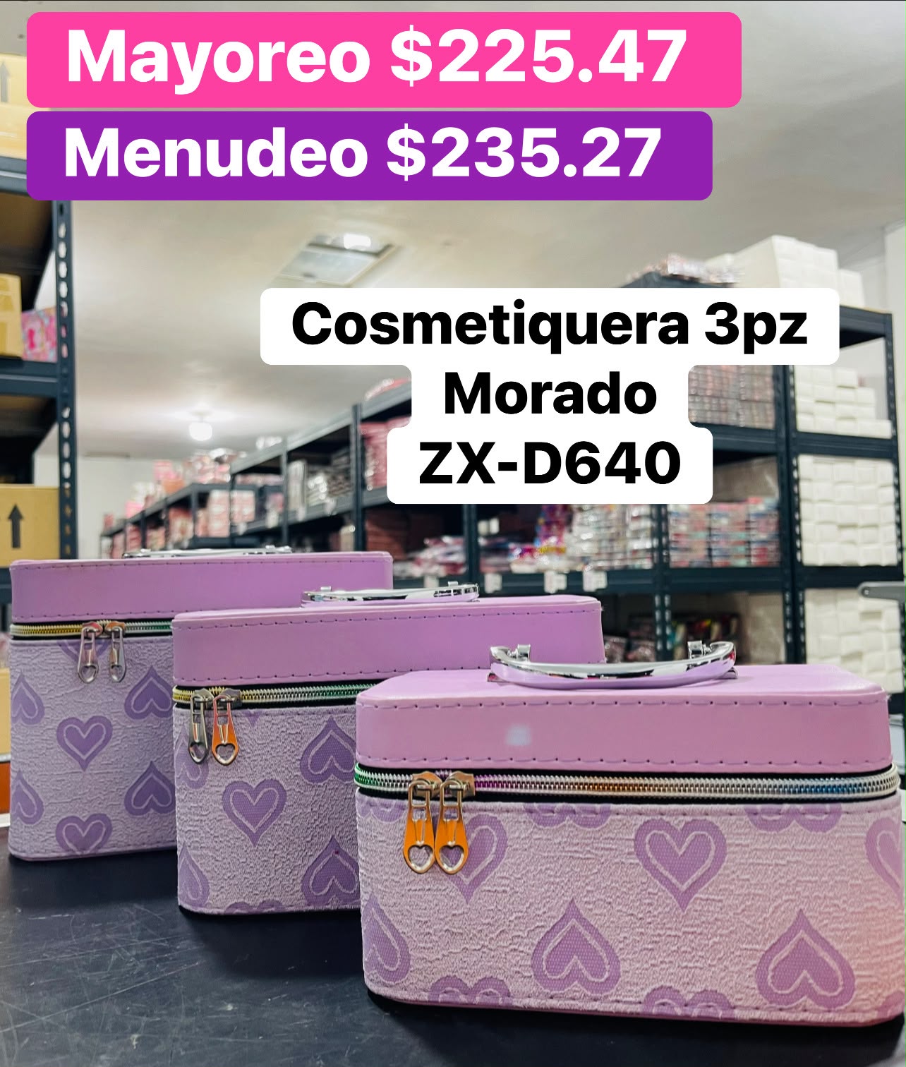 COSMETIQUERA 3PZS ZX-D640
