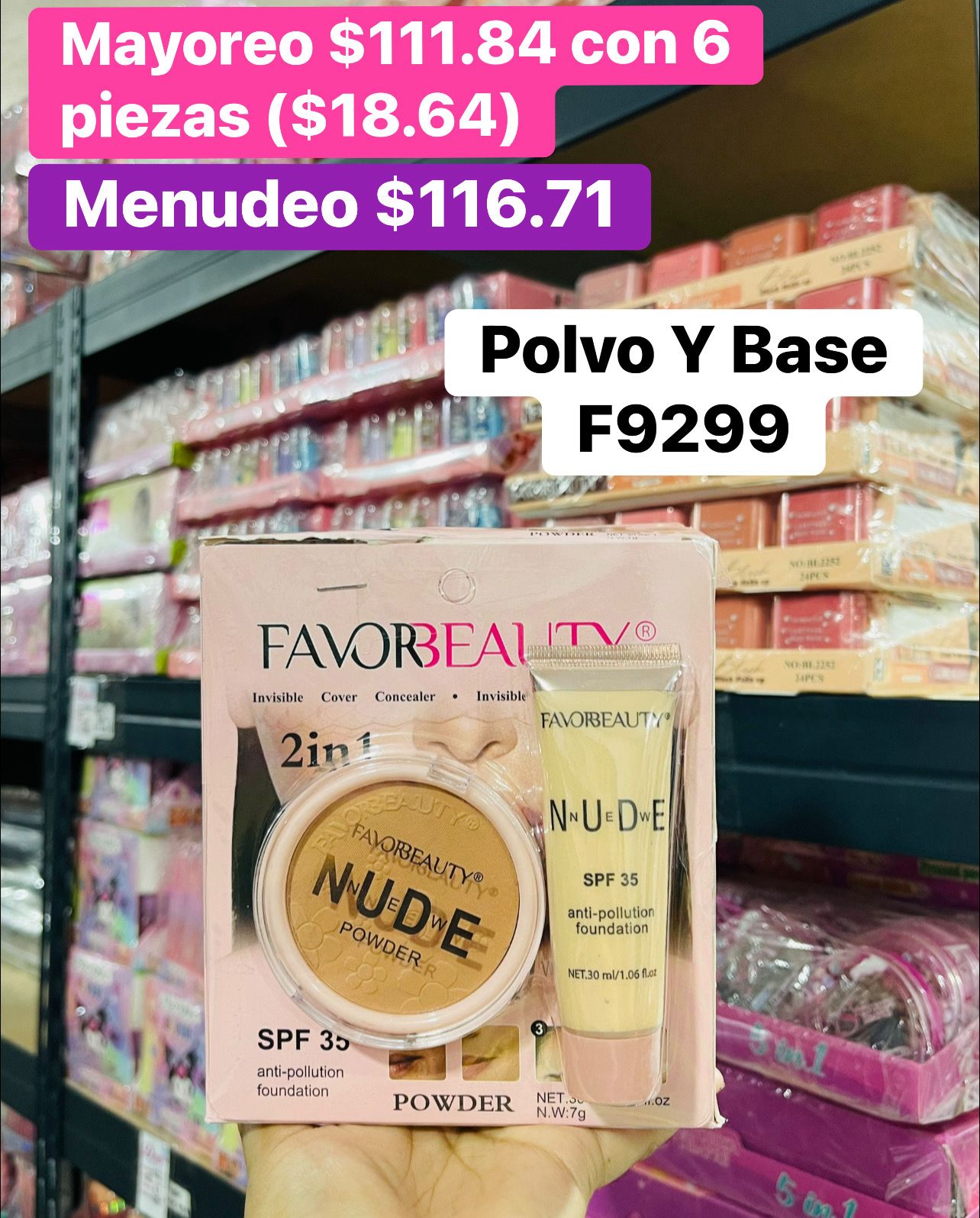 POLVO/BASE F9299 B/6