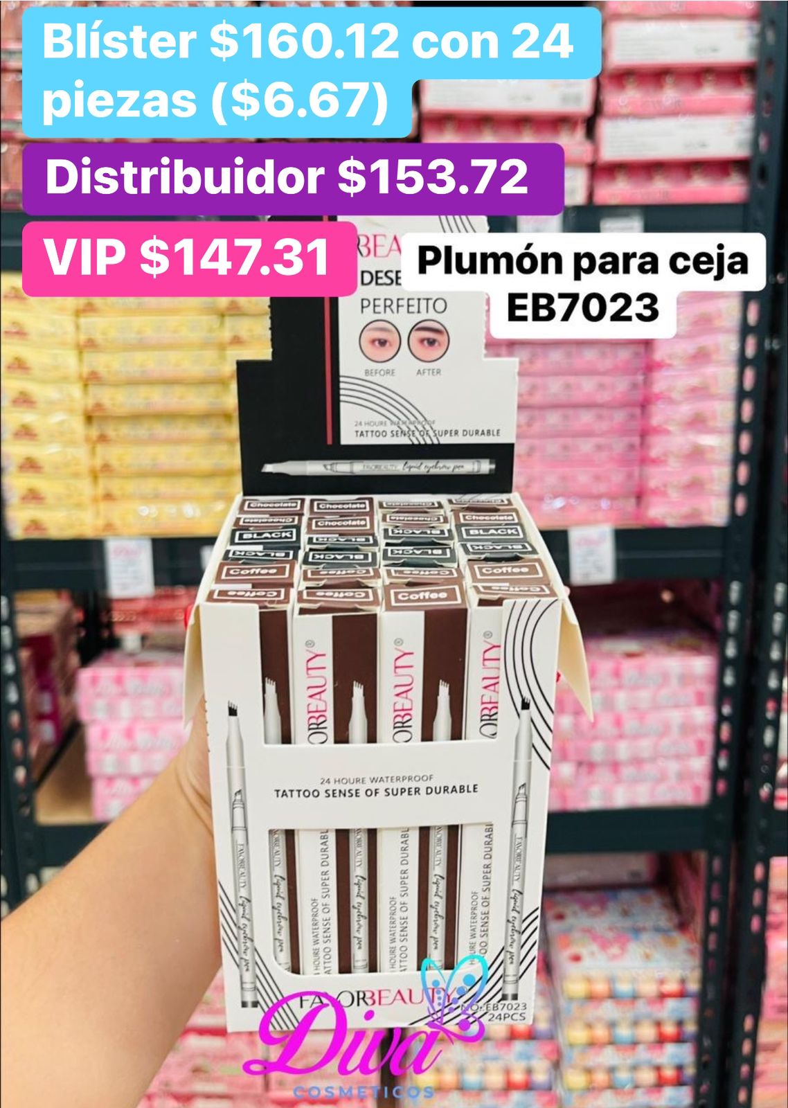 PLUMON CEJA EB7023 B/24