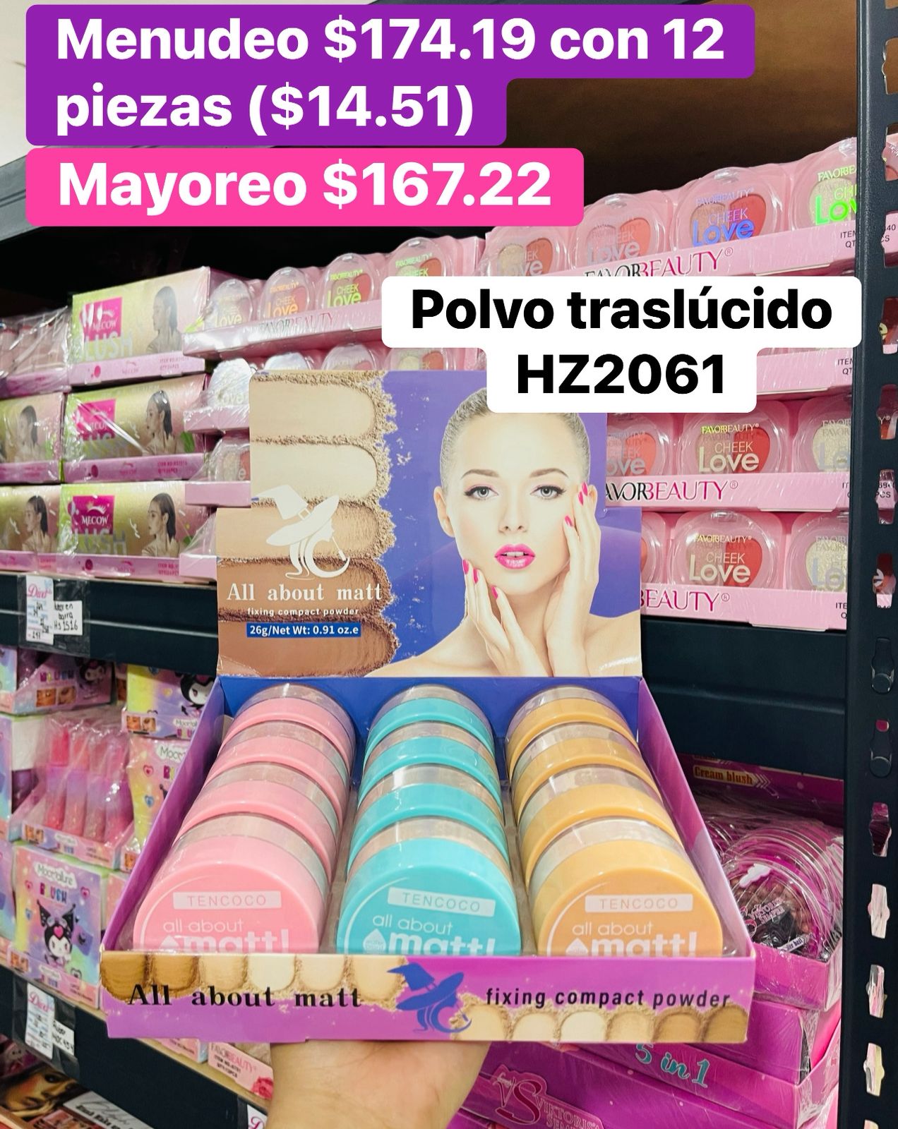 POLVO TRASLUCIDO HZ2061 B/12