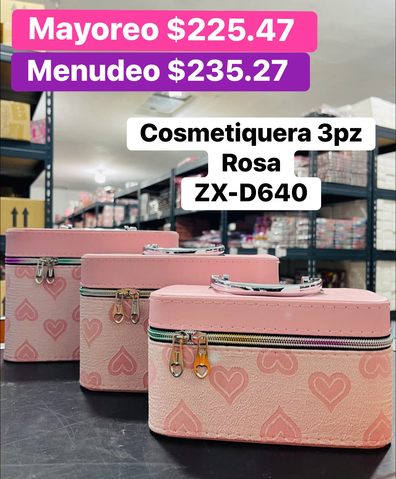 COSMETIQUERA 3PZS ZX-D640