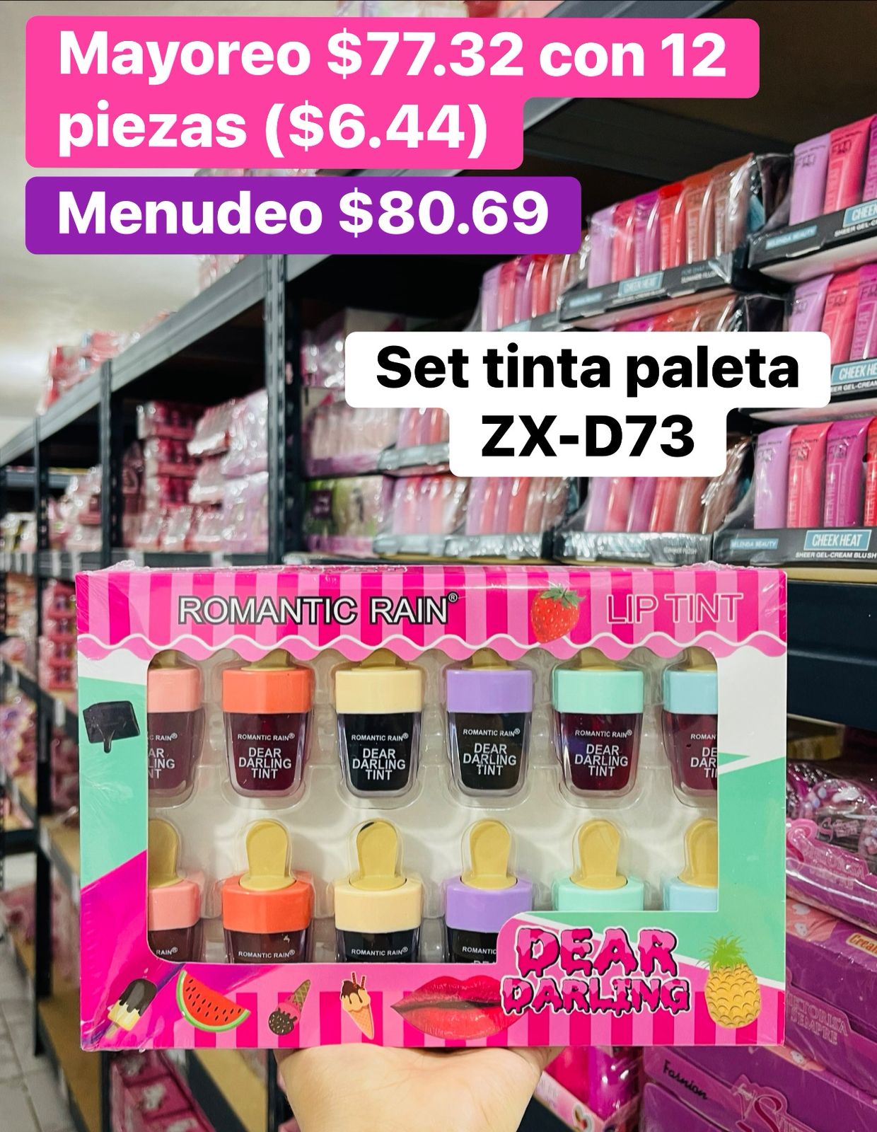 SET TINTA ZX-D73 B/12