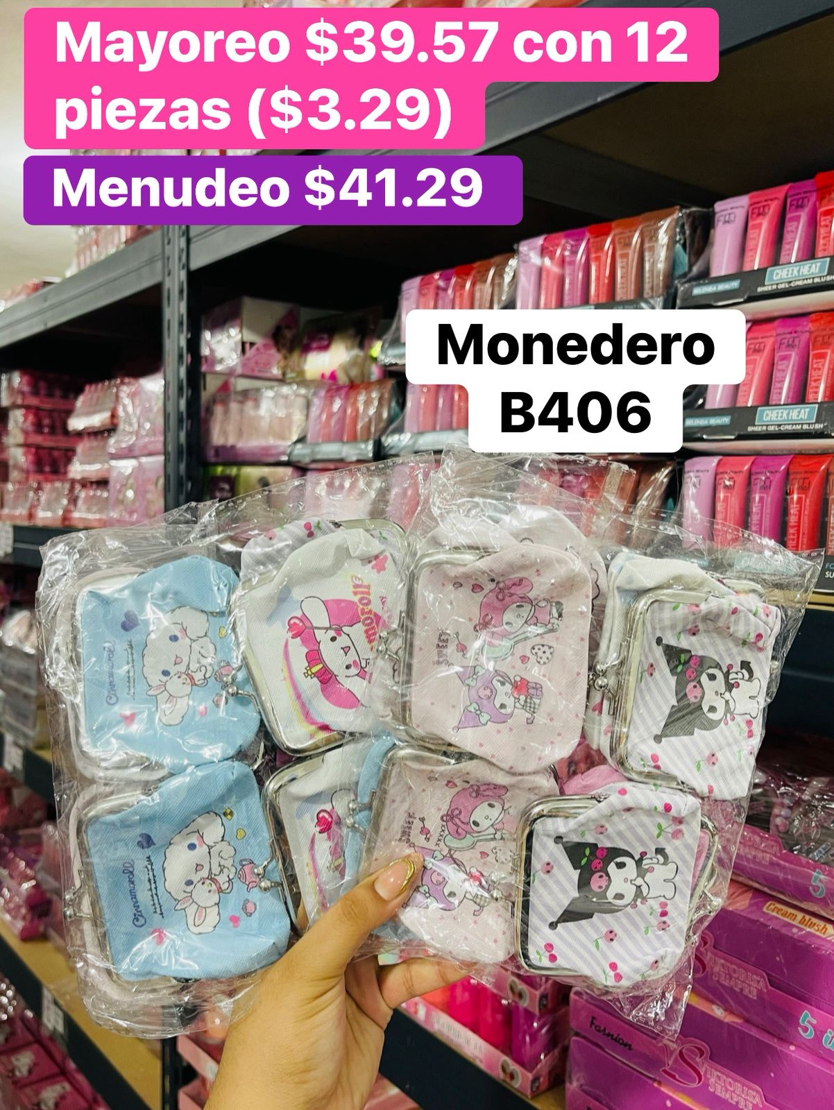 MONEDERO B406 B/12