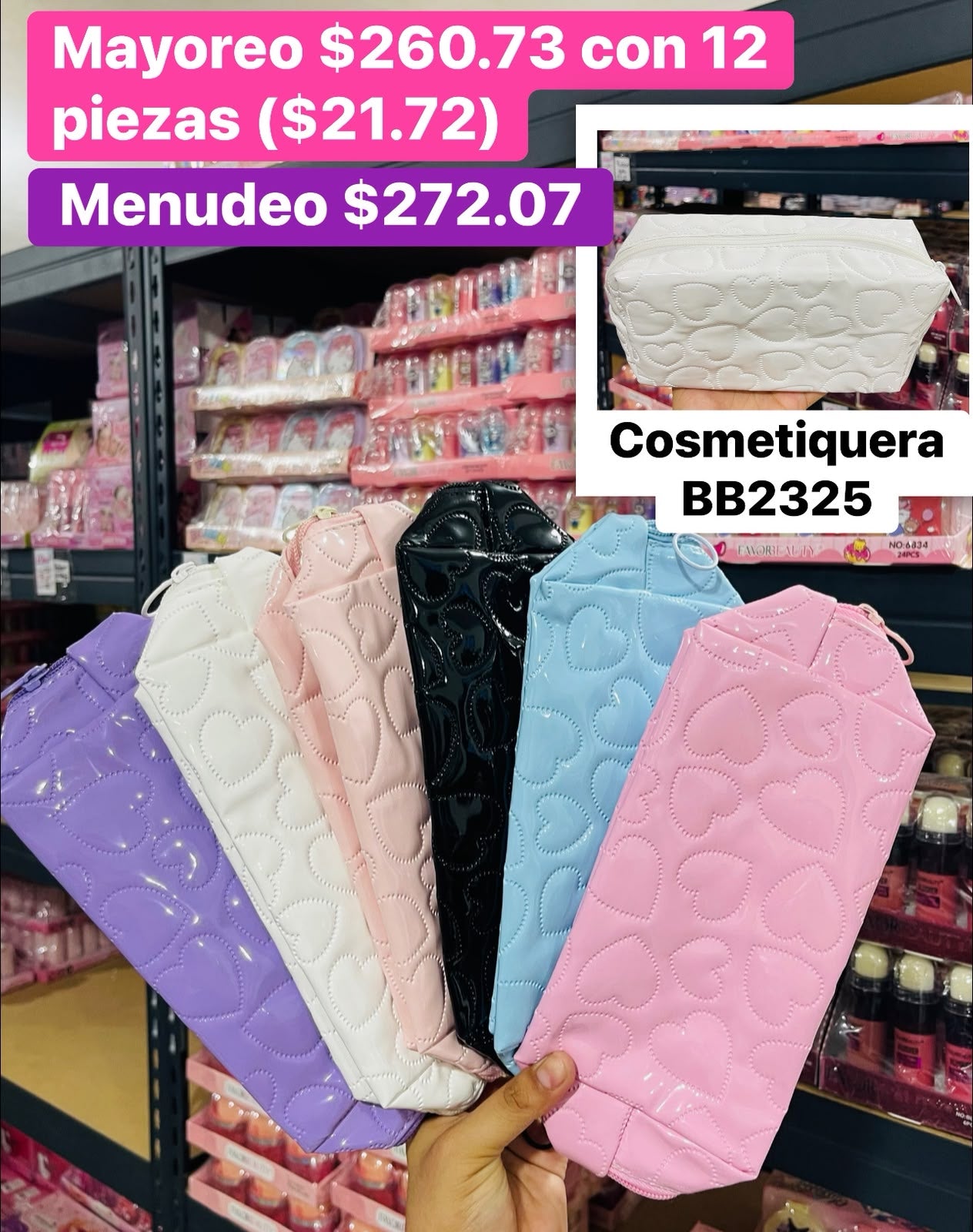 COSMETIQUERA BB2325 B/12