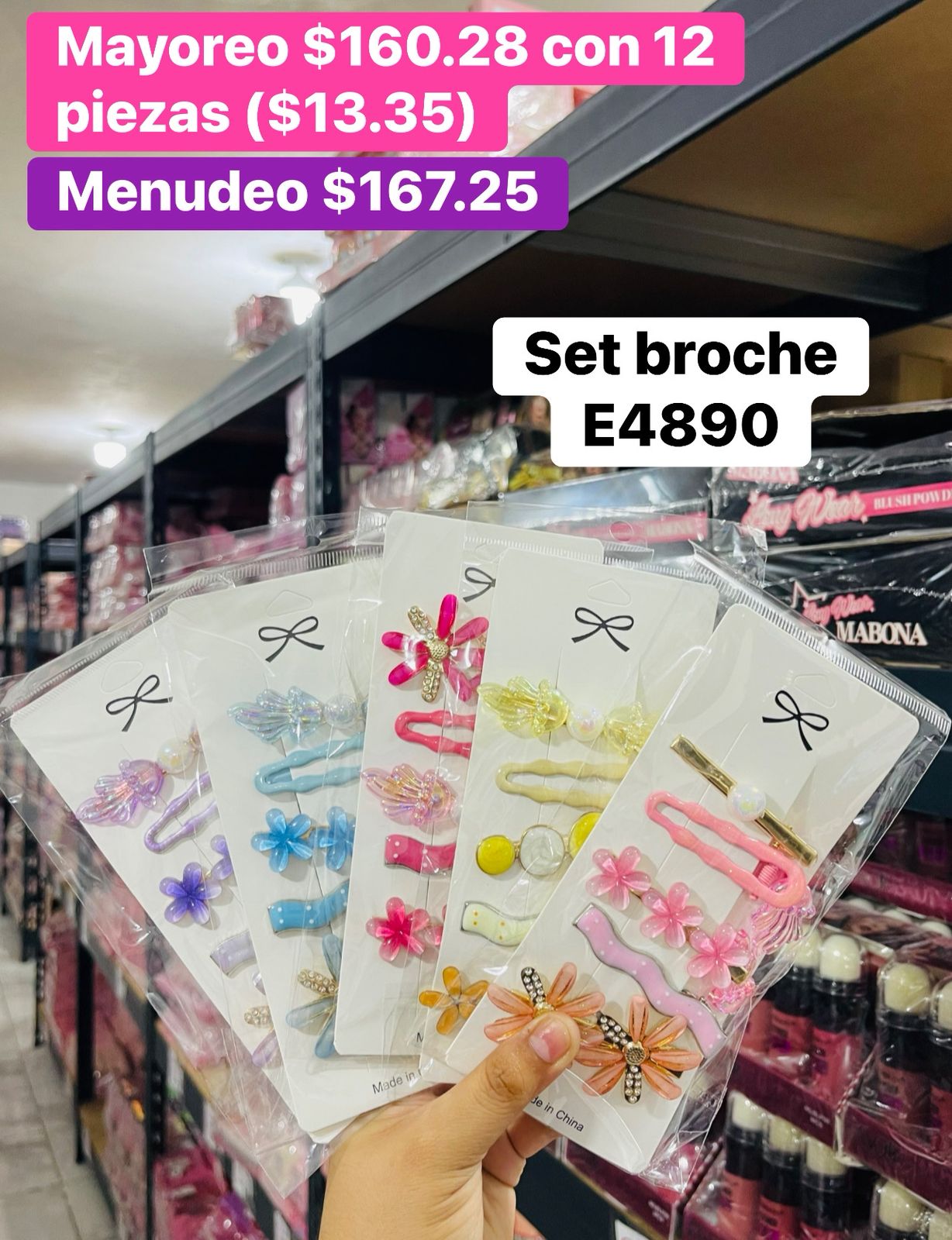 SET BROCHE E4890 B/12