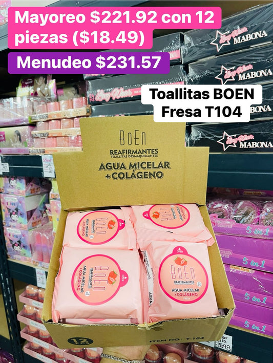 TOALLITAS DESMAQUILLANTES T-104 B/12