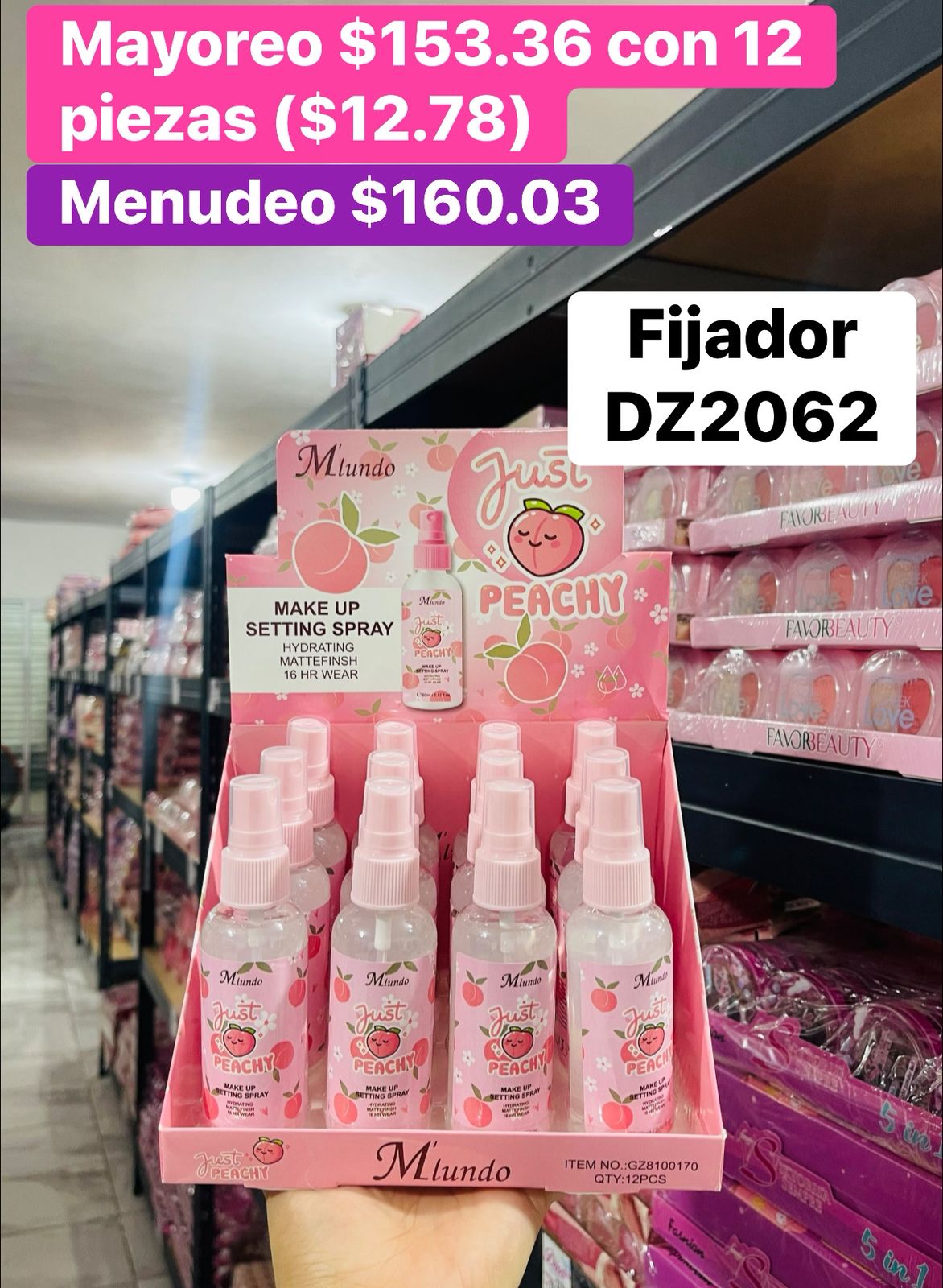 FIJADOR DZ2062 B/12