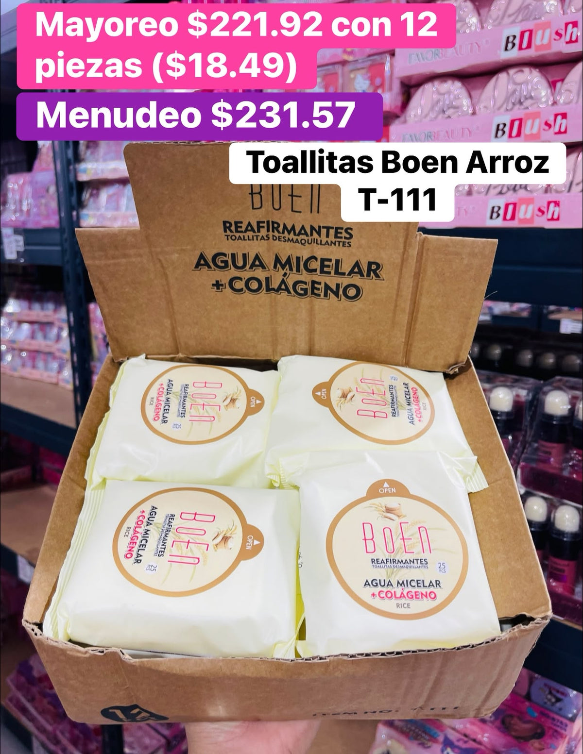 TOALLITAS DESMAQUILLANTES T-111 B/12