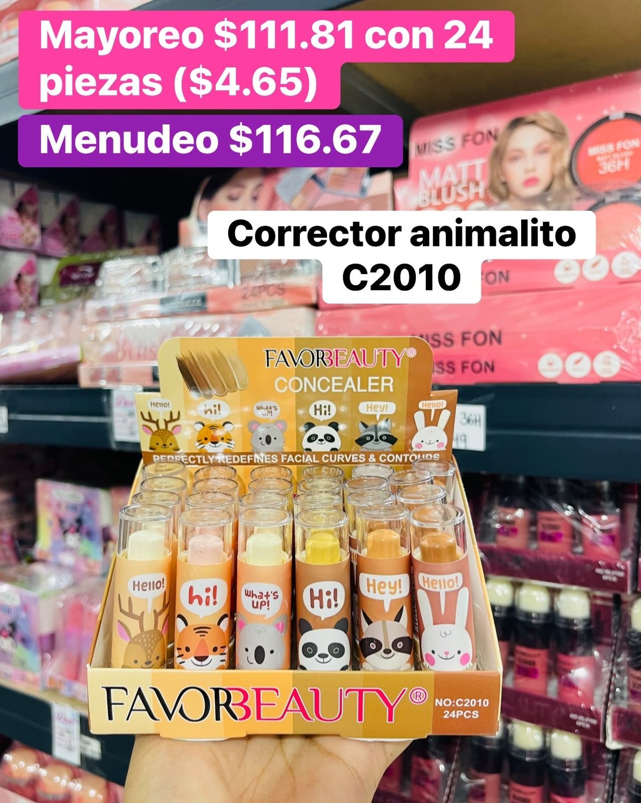 CORRECTOR ANIMALITO C2010 B/24