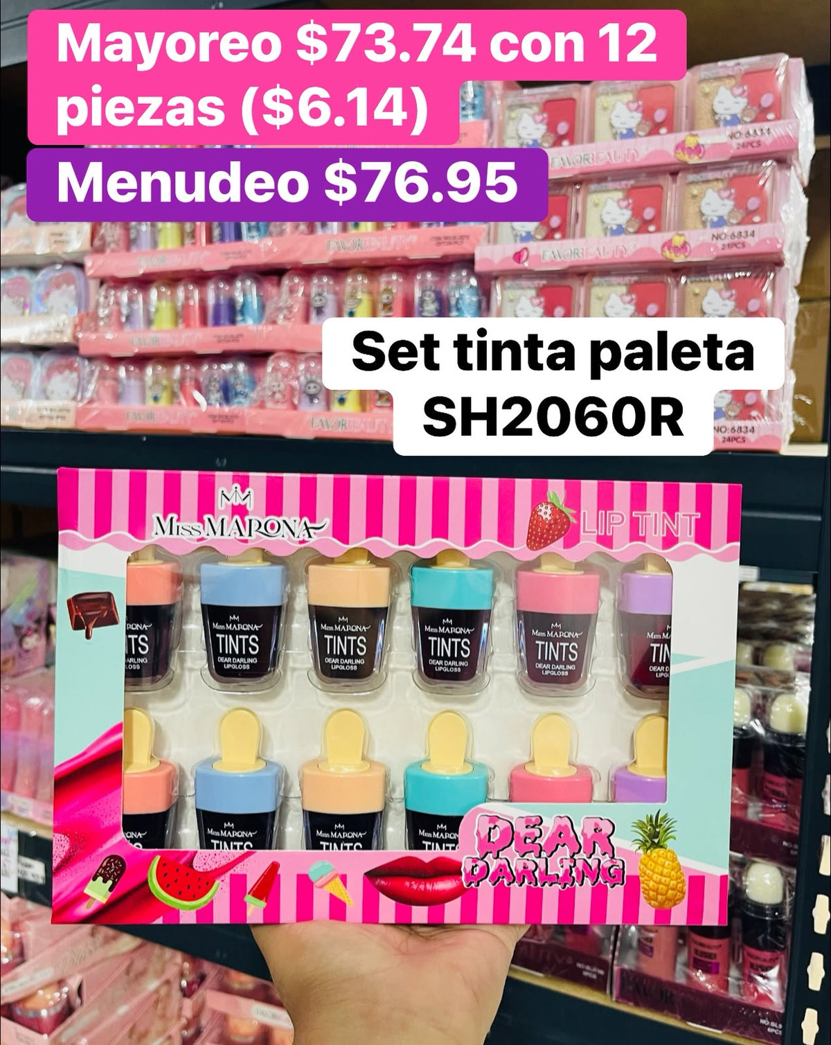 SET TINTA SH2060R B/12
