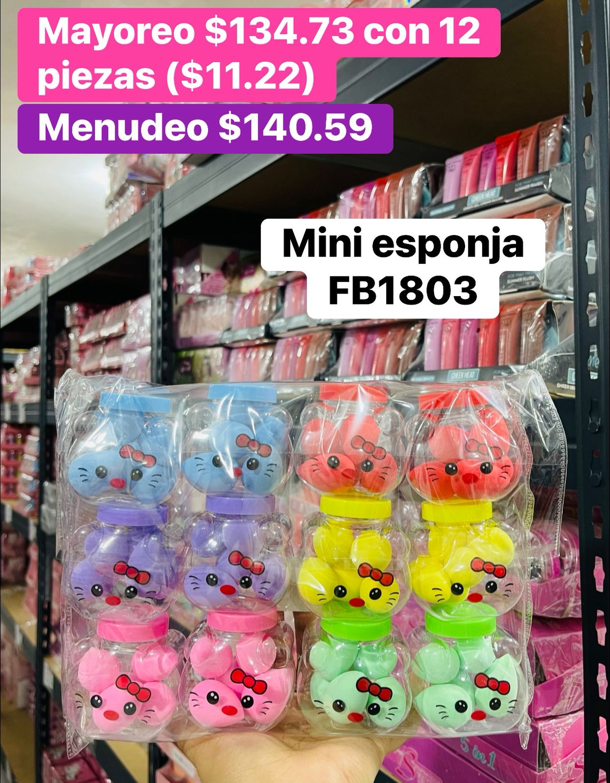 ESPONJA FB1803 B/12