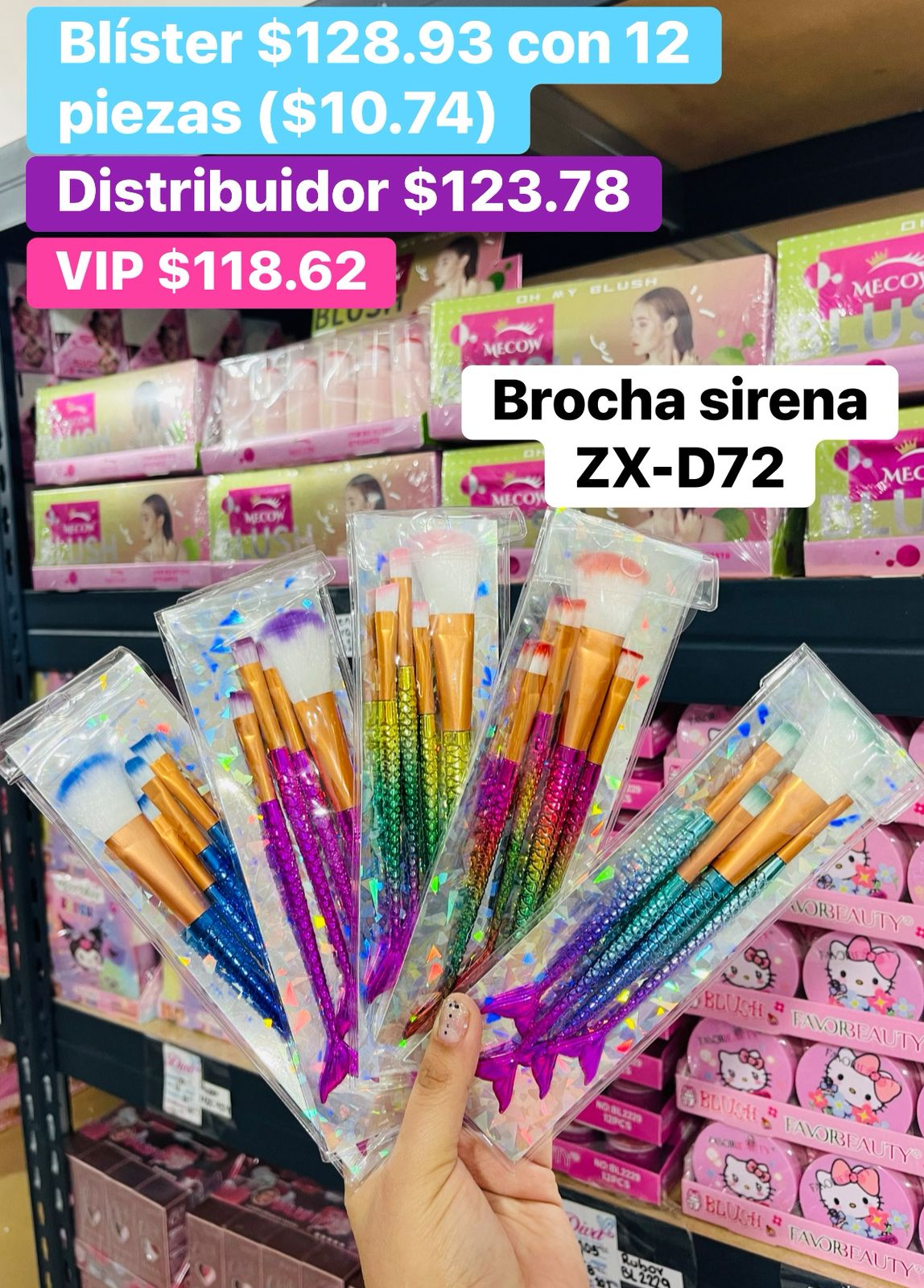 BROCHA SIRENA ZX-D72 B/12