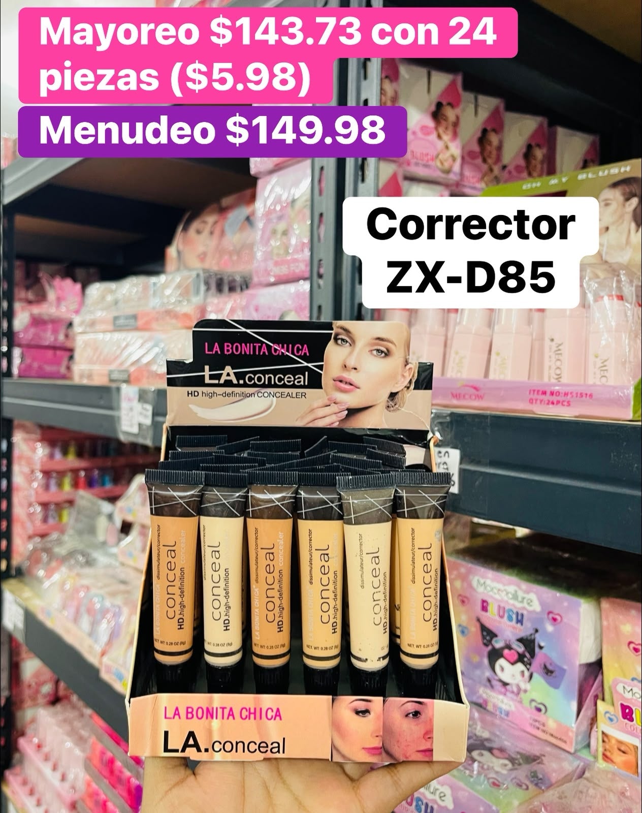 CORRECTOR ZX-D85 B/24