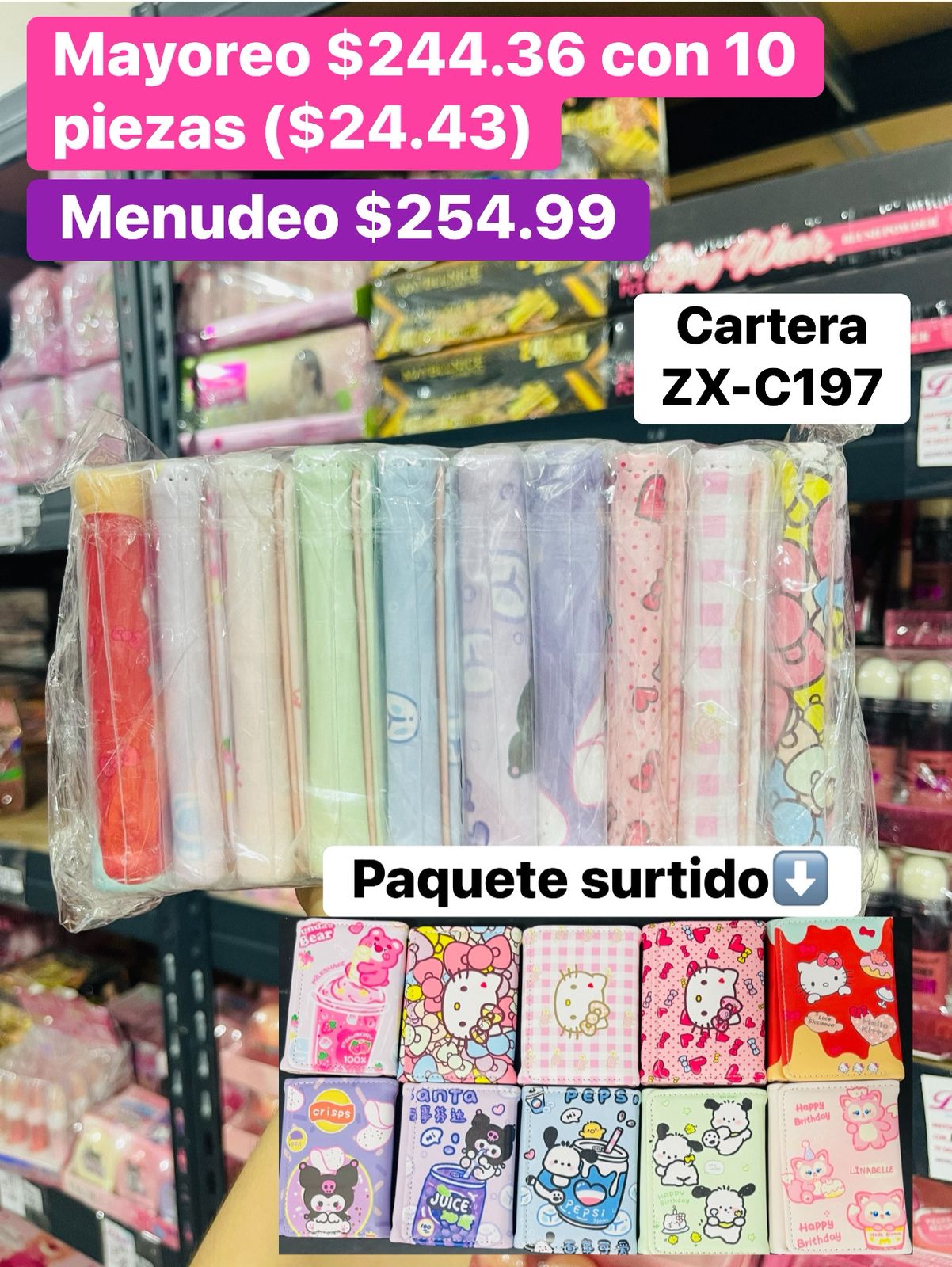 CARTERA ZX-C197 B/10