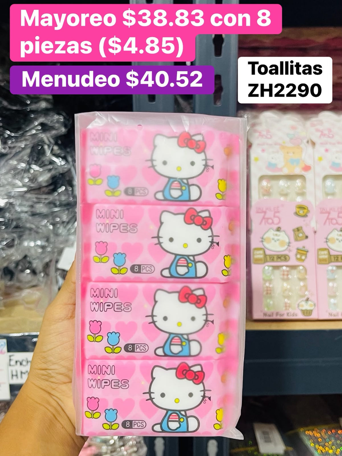 TOALLITAS DESMAQUILLANTES ZH2290 B/12