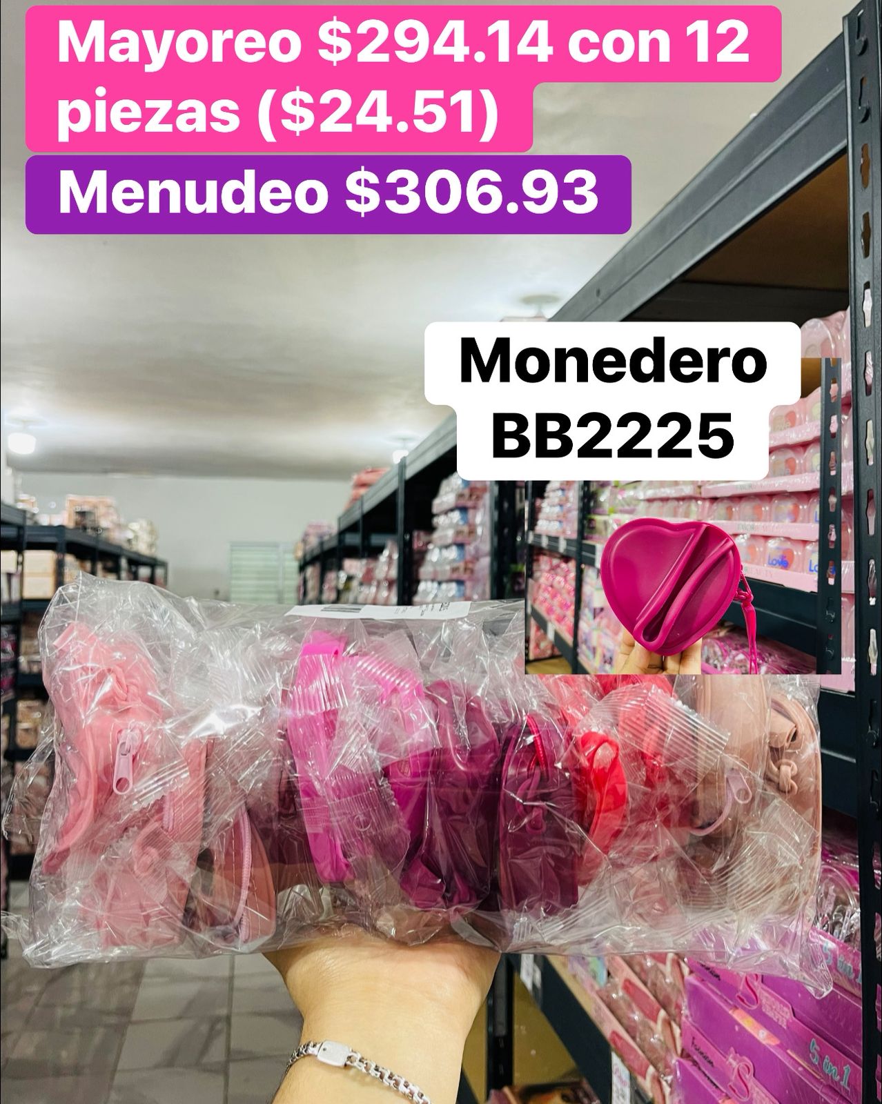 MONEDERO BB2225 B/12