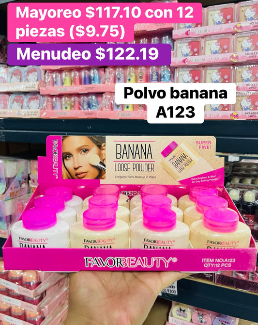 POLVO TRASLUCIDO A123 B/12