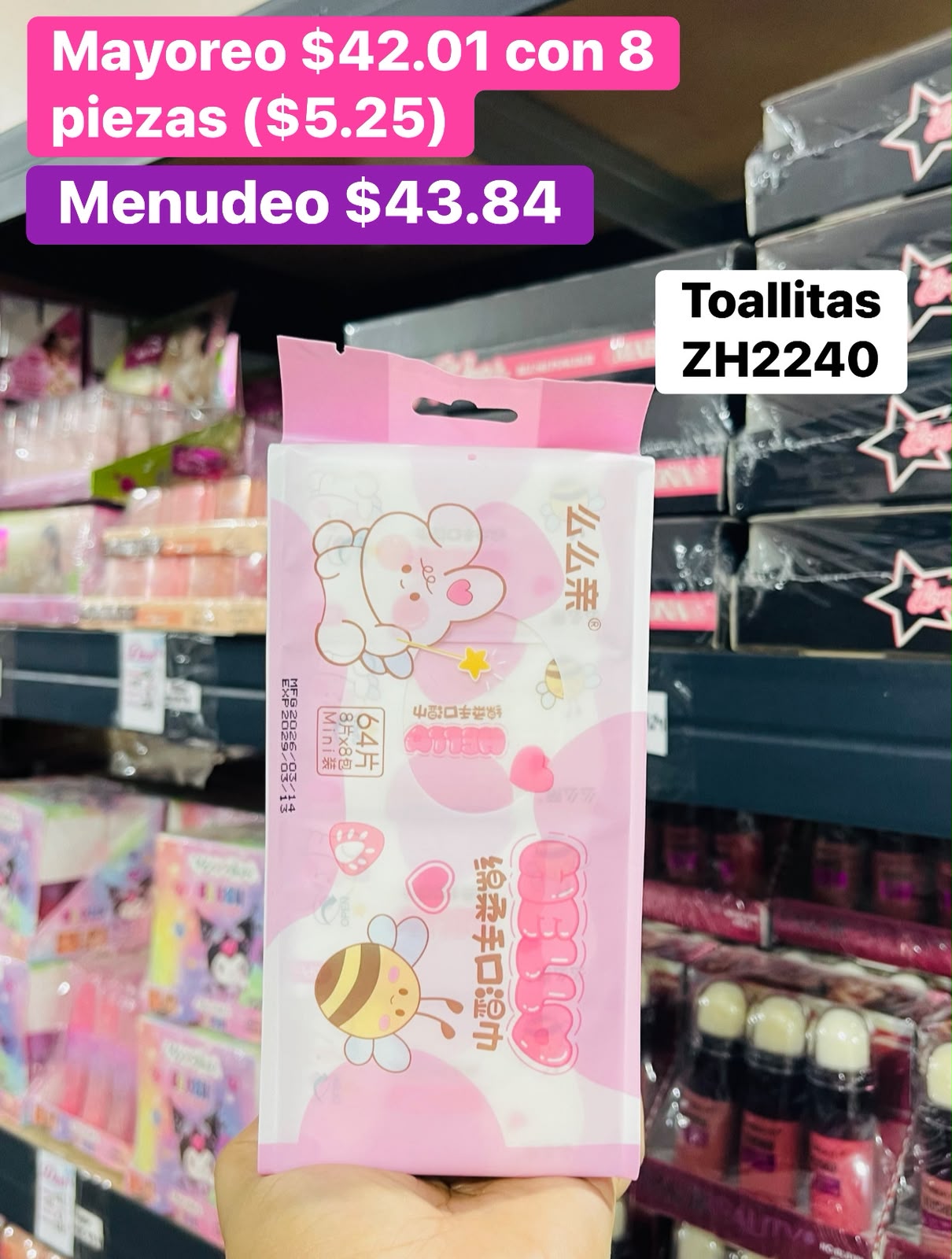 TOALLITAS ZH2240 B/8