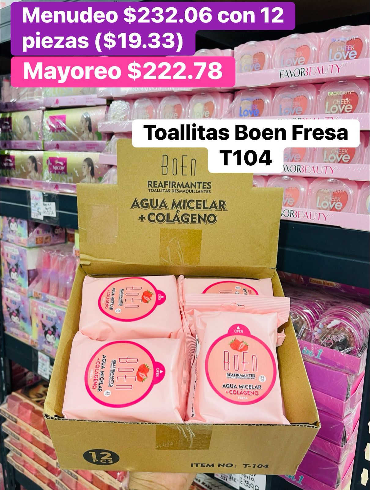 TOALLITAS DESMAQUILLANTES T-104 B/12