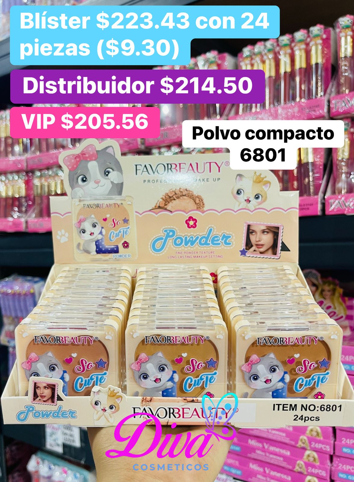 POLVO COMPACTO 6801 B/24