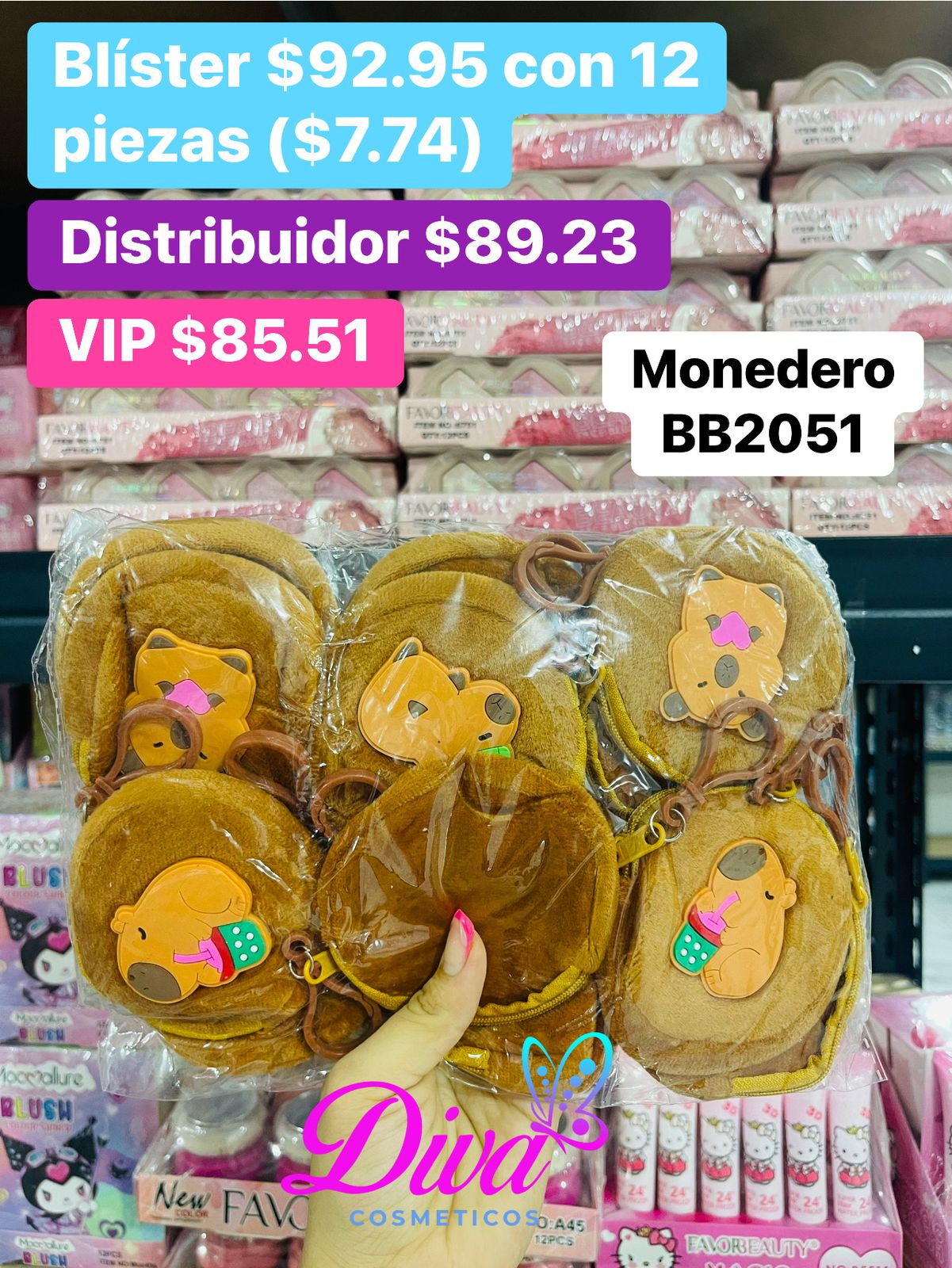 MONEDERO BB2051 B/12