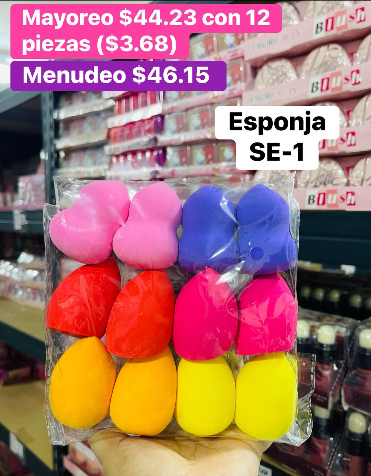 ESPONJA SE-1 B/12