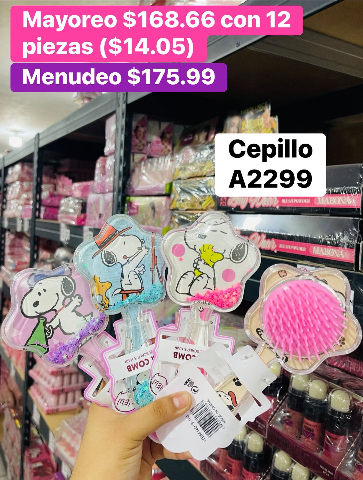 CEPILLO A2299 B/12