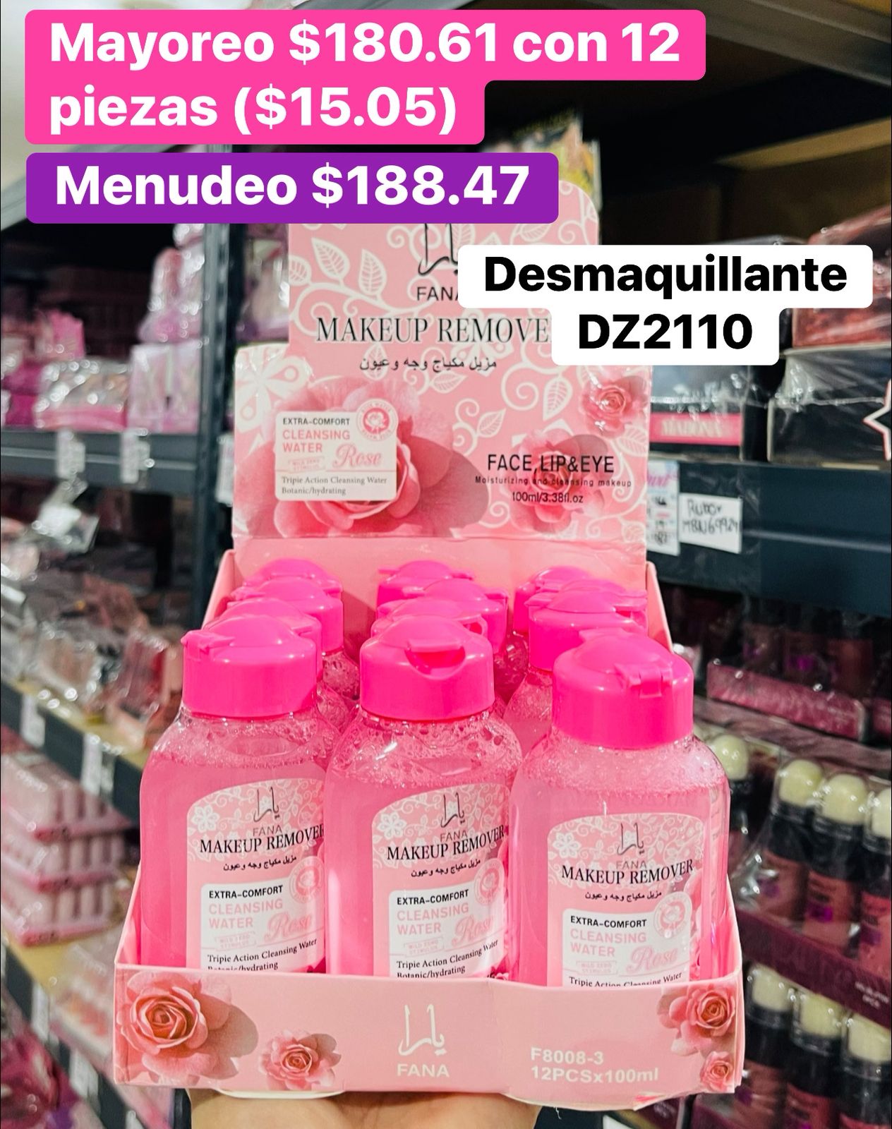 DESMAQUILLANTE DZ2110 B/12