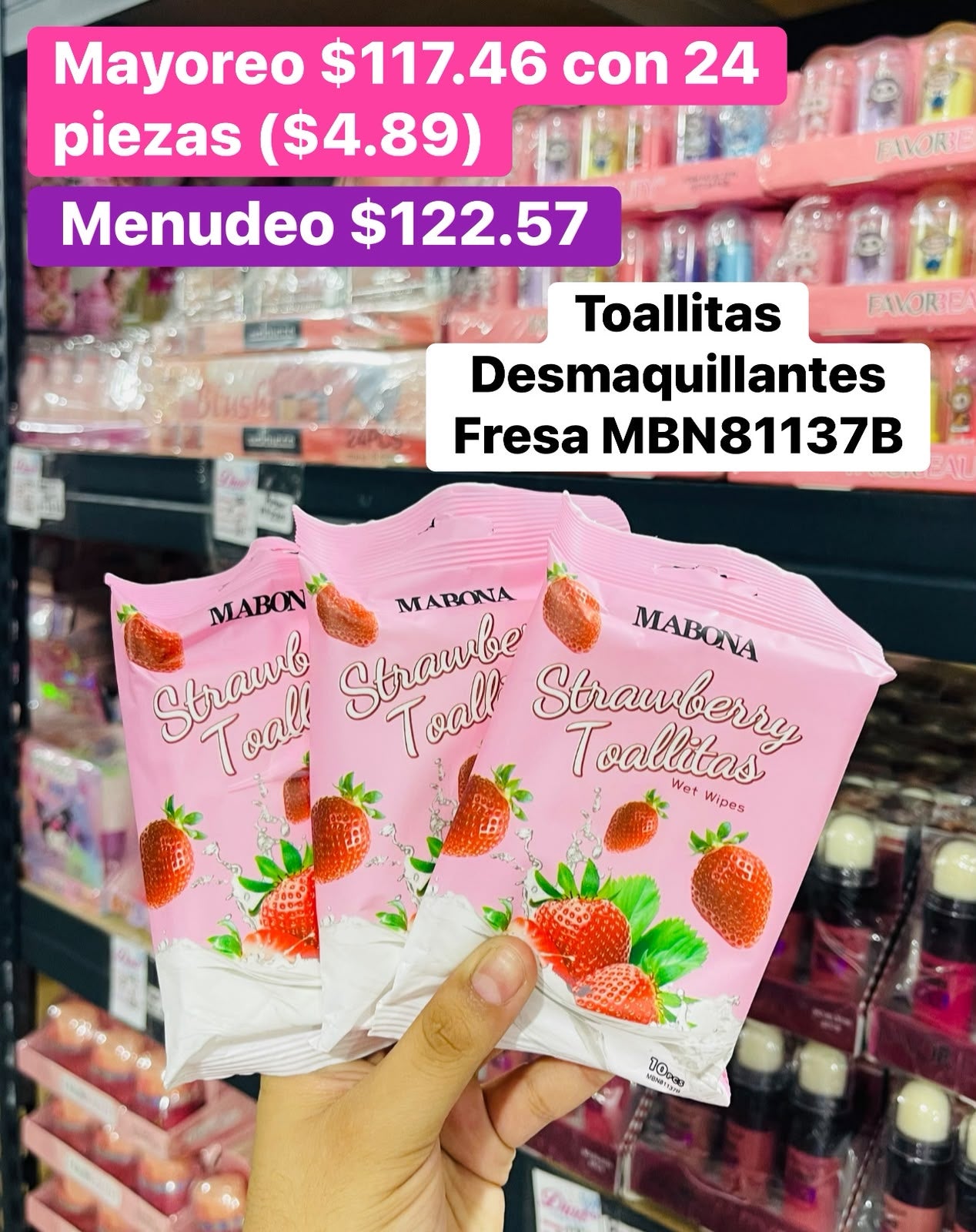 TOALLITAS DESMAQUILLANTES MBN81137B B/24