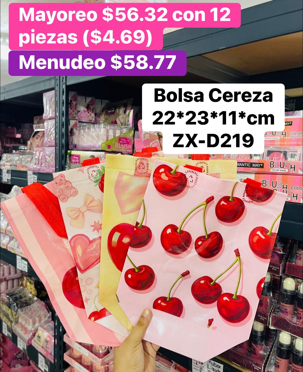 BOLSA ZX-D219 B/12