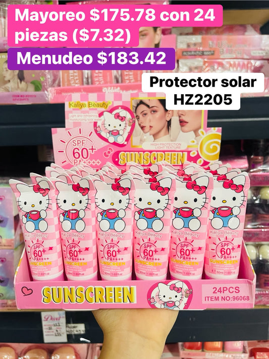 PROTECTOR SOLAR HZ2205 B/24
