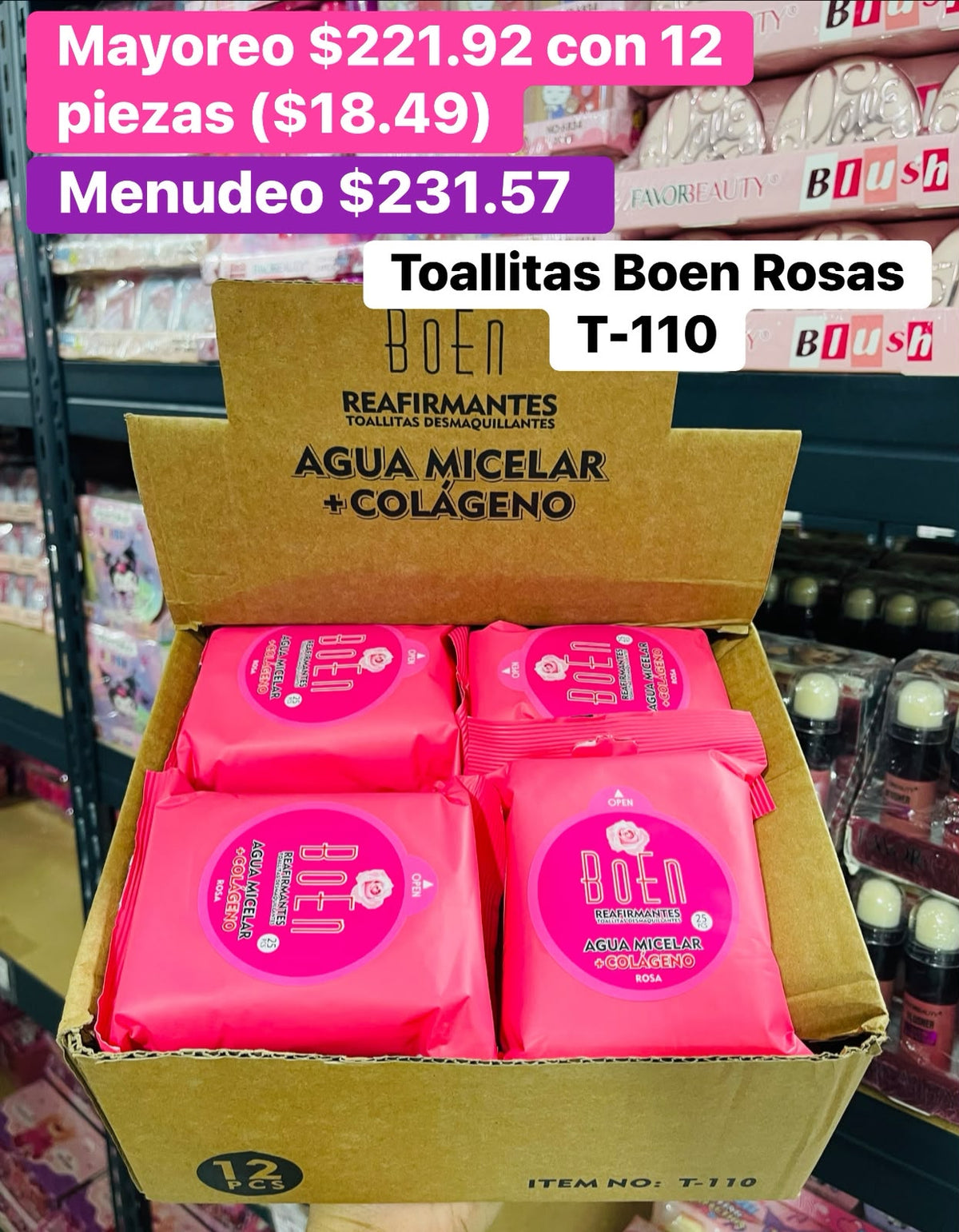 TOALLITAS DESMAQUILLANTES T-110 B/12